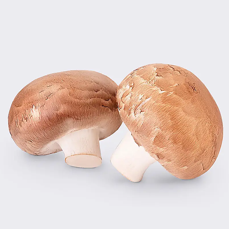 Well because I always eat ramen — Изображение №6 — Иллюстрация, 3D на Dprofile