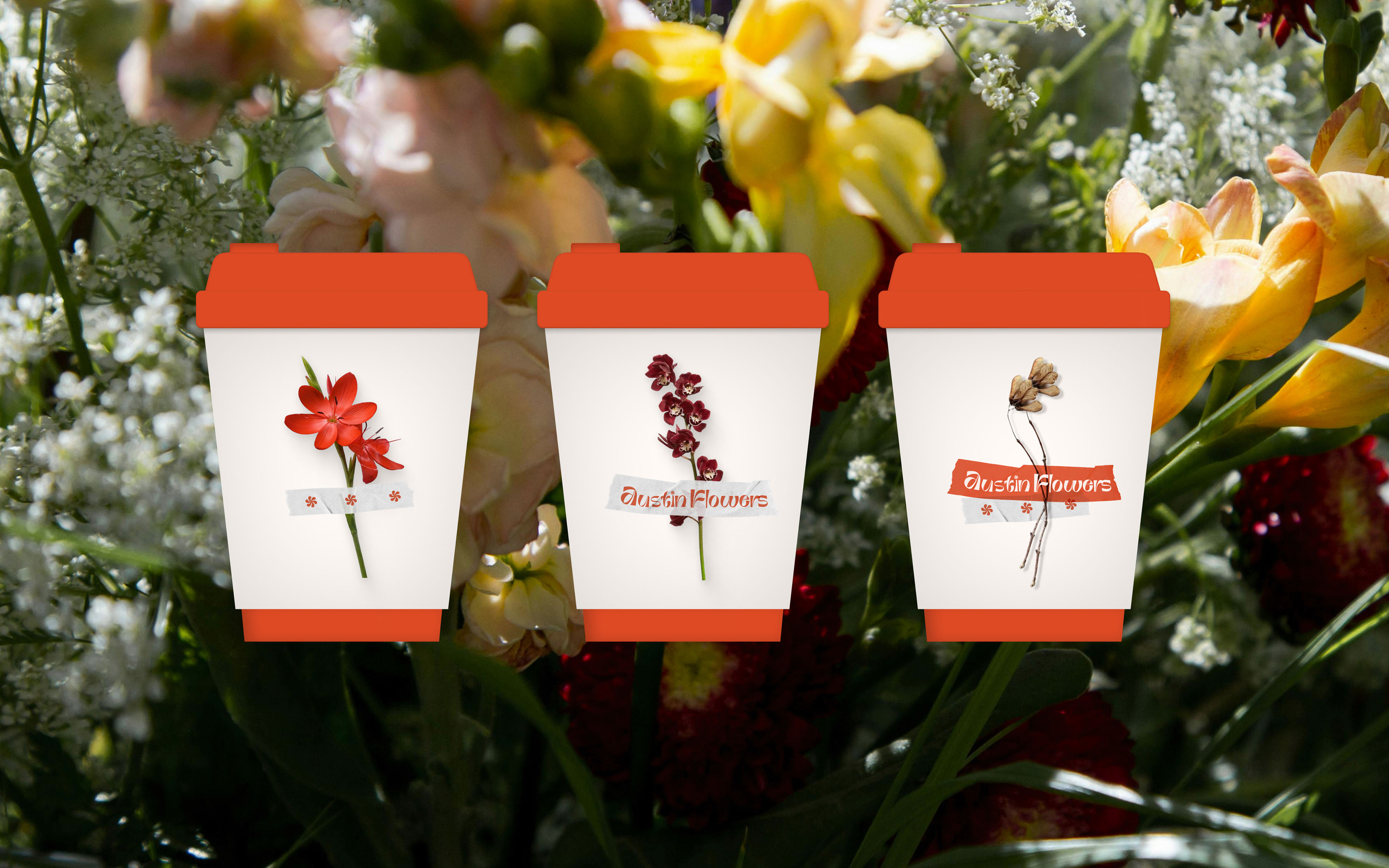 Austin Flowers — bright flower shop concept concept — Изображение №17 — Брендинг, Графика на Dprofile