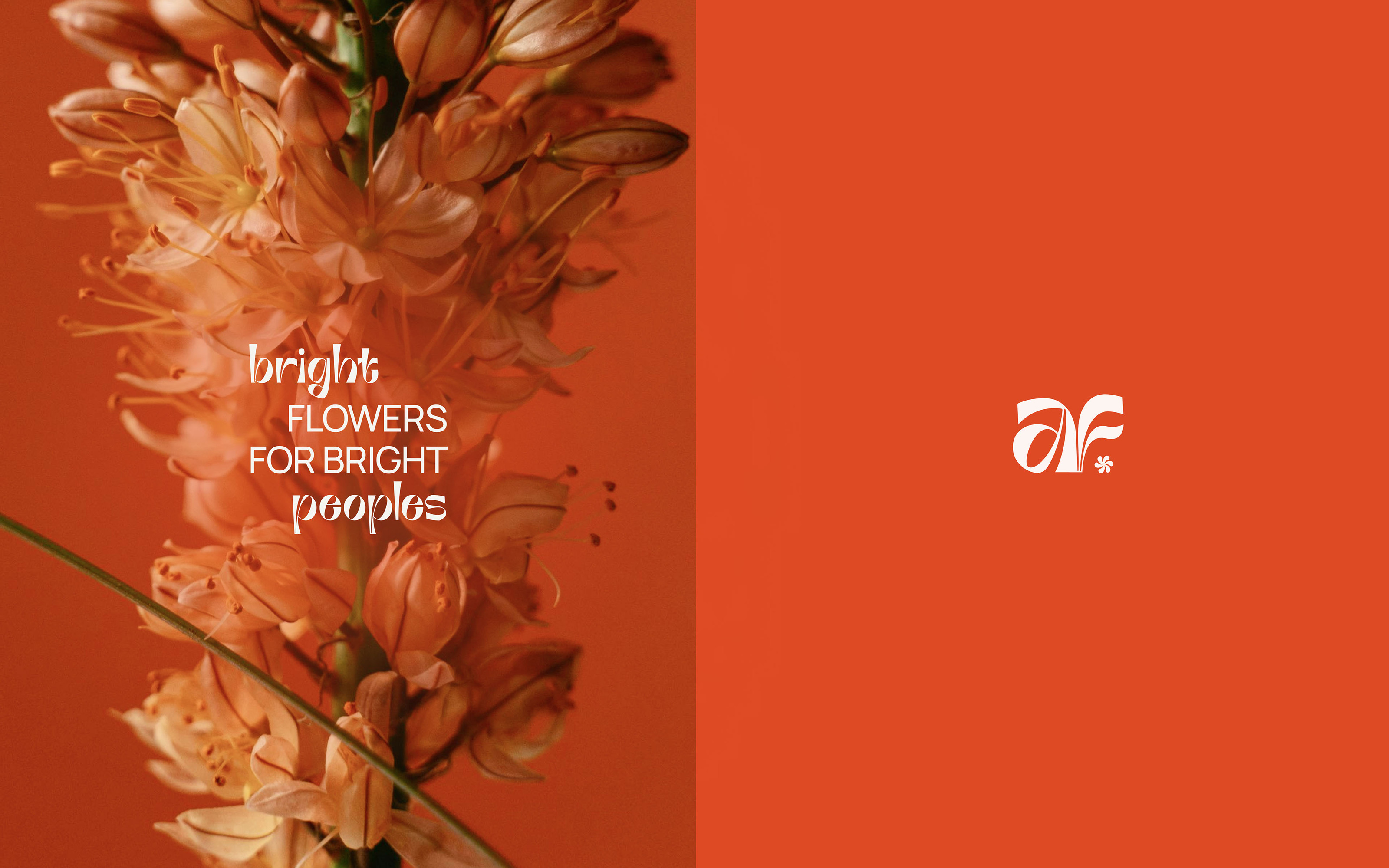 Austin Flowers — bright flower shop concept concept — Изображение №4 — Брендинг, Графика на Dprofile