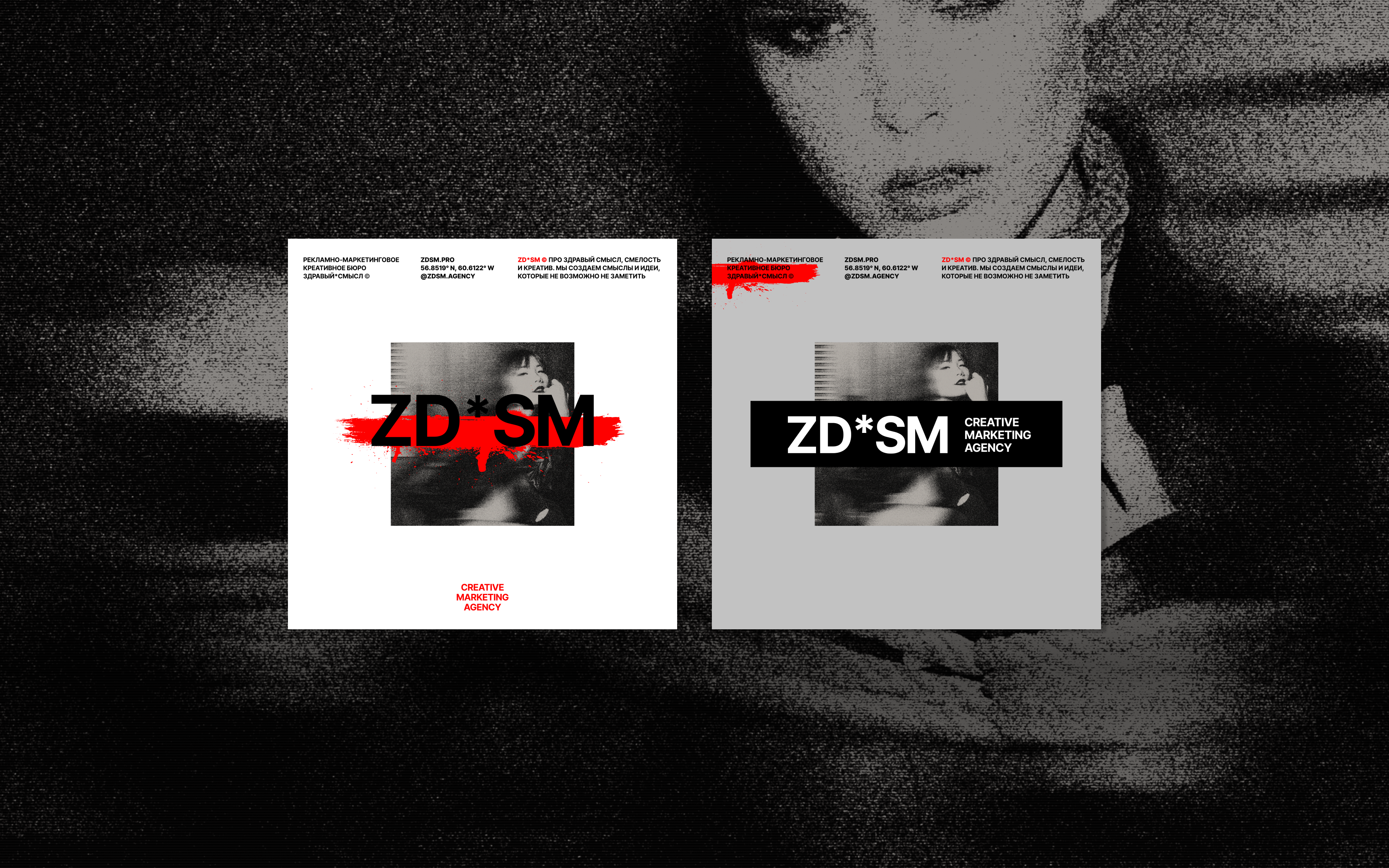 SD*SM/ ZDRAVYI SMYSL© — creative advertising agency — Изображение №12 — Брендинг на Dprofile