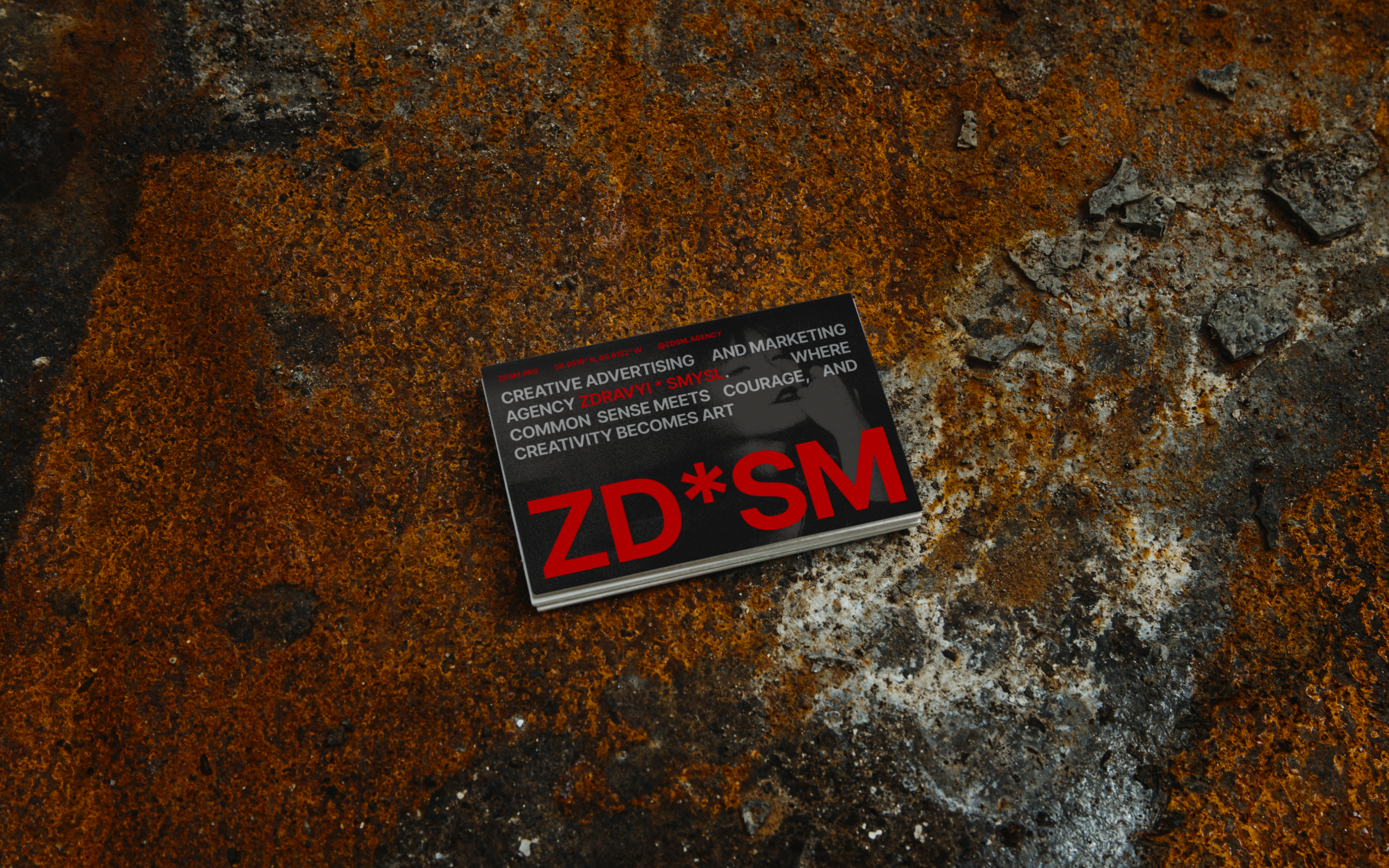 SD*SM/ ZDRAVYI SMYSL© — creative advertising agency — Изображение №13 — Брендинг на Dprofile
