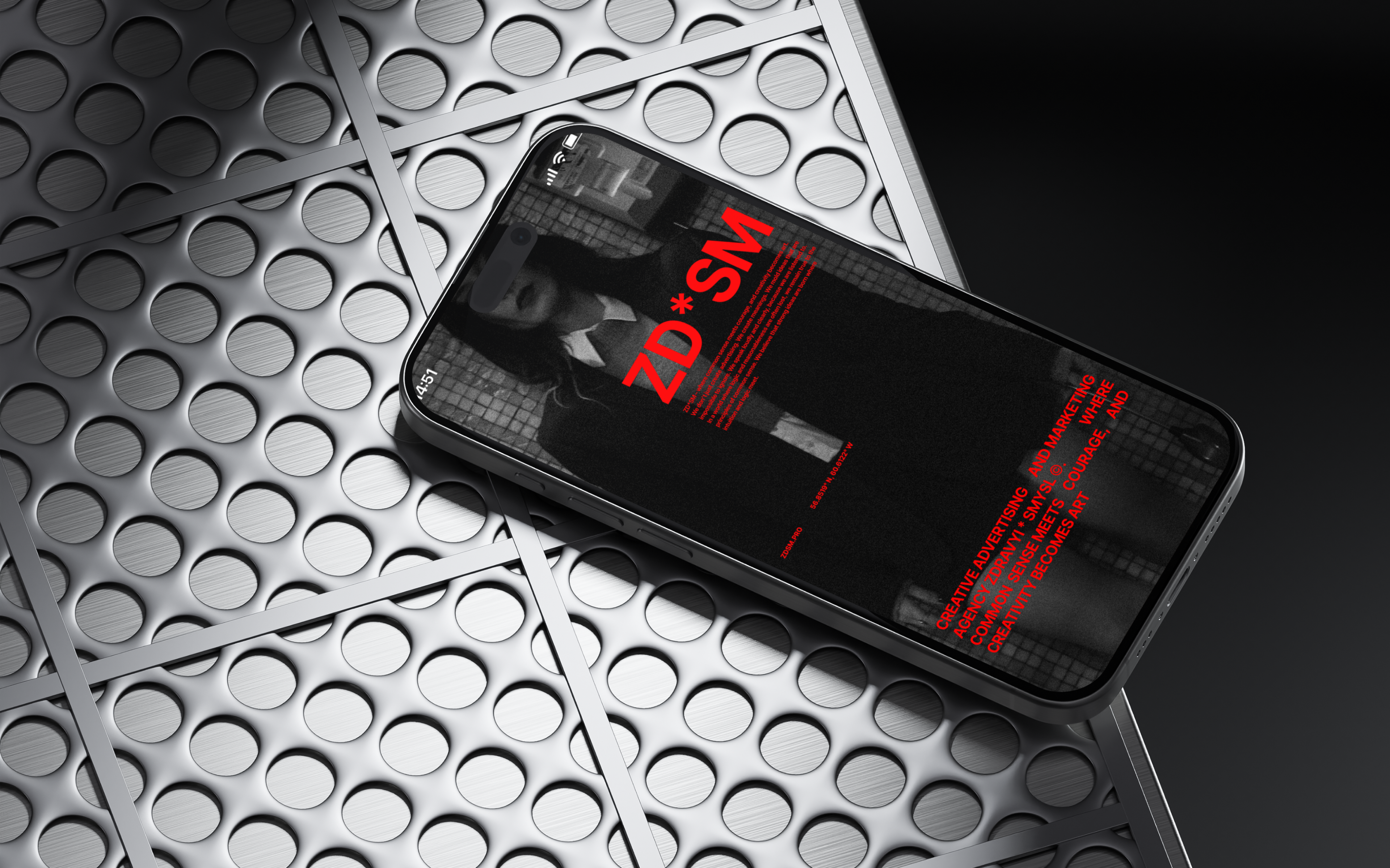 SD*SM/ ZDRAVYI SMYSL© — creative advertising agency — Изображение №19 — Брендинг на Dprofile