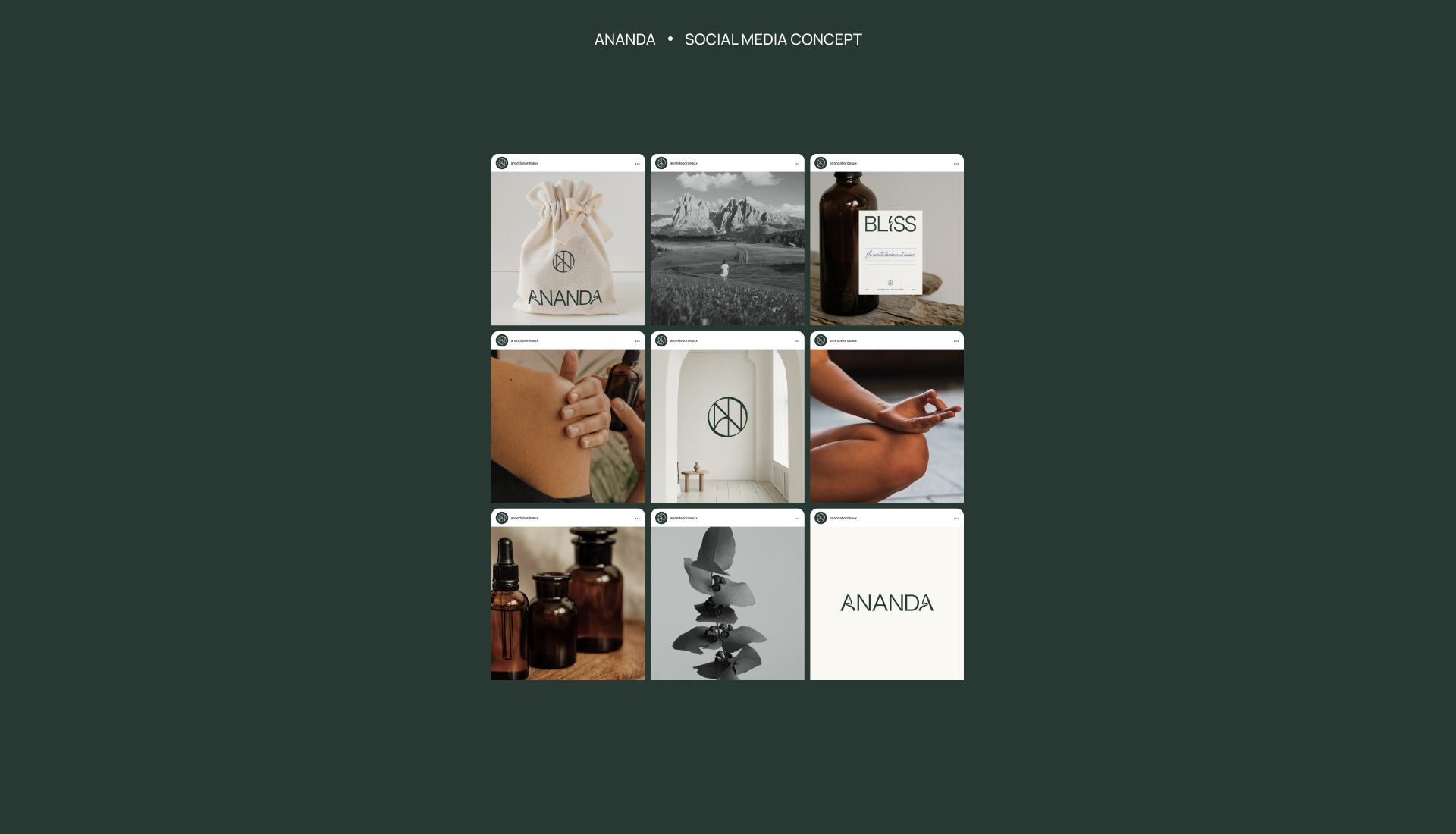 ANANDA. Aromathéque. Méditation. Pratiques douces — Изображение №11 — Брендинг на Dprofile