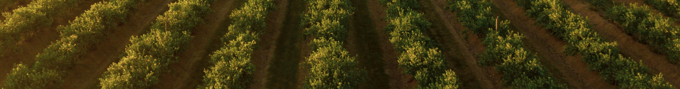 Авторский креативный лендинг — Изображение №6 — Интерфейсы на Dprofile