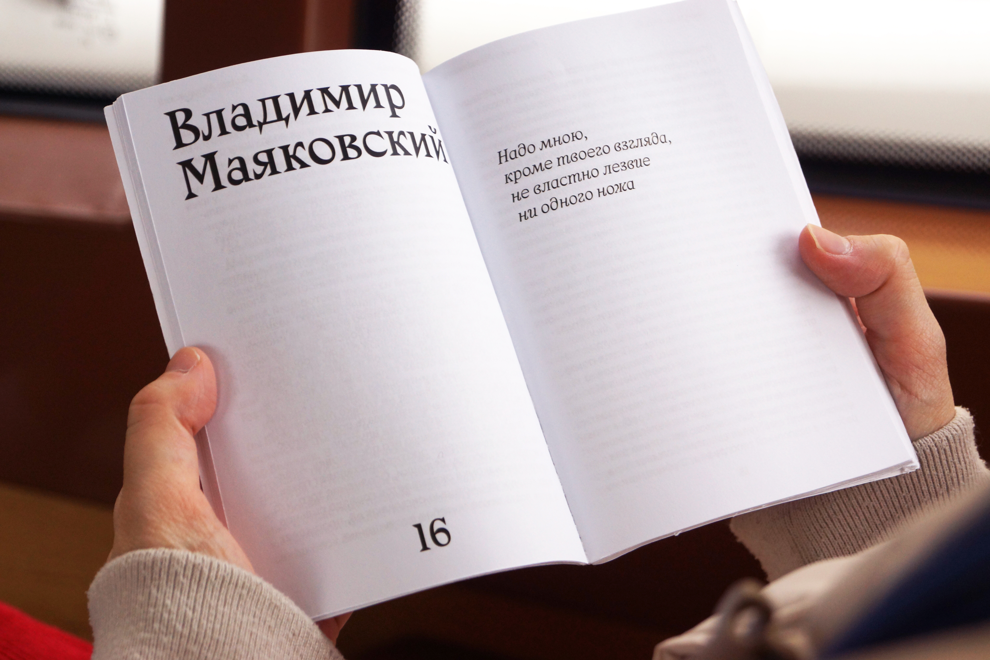 любовная лирика — Изображение №4 — Брендинг, Графика на Dprofile
