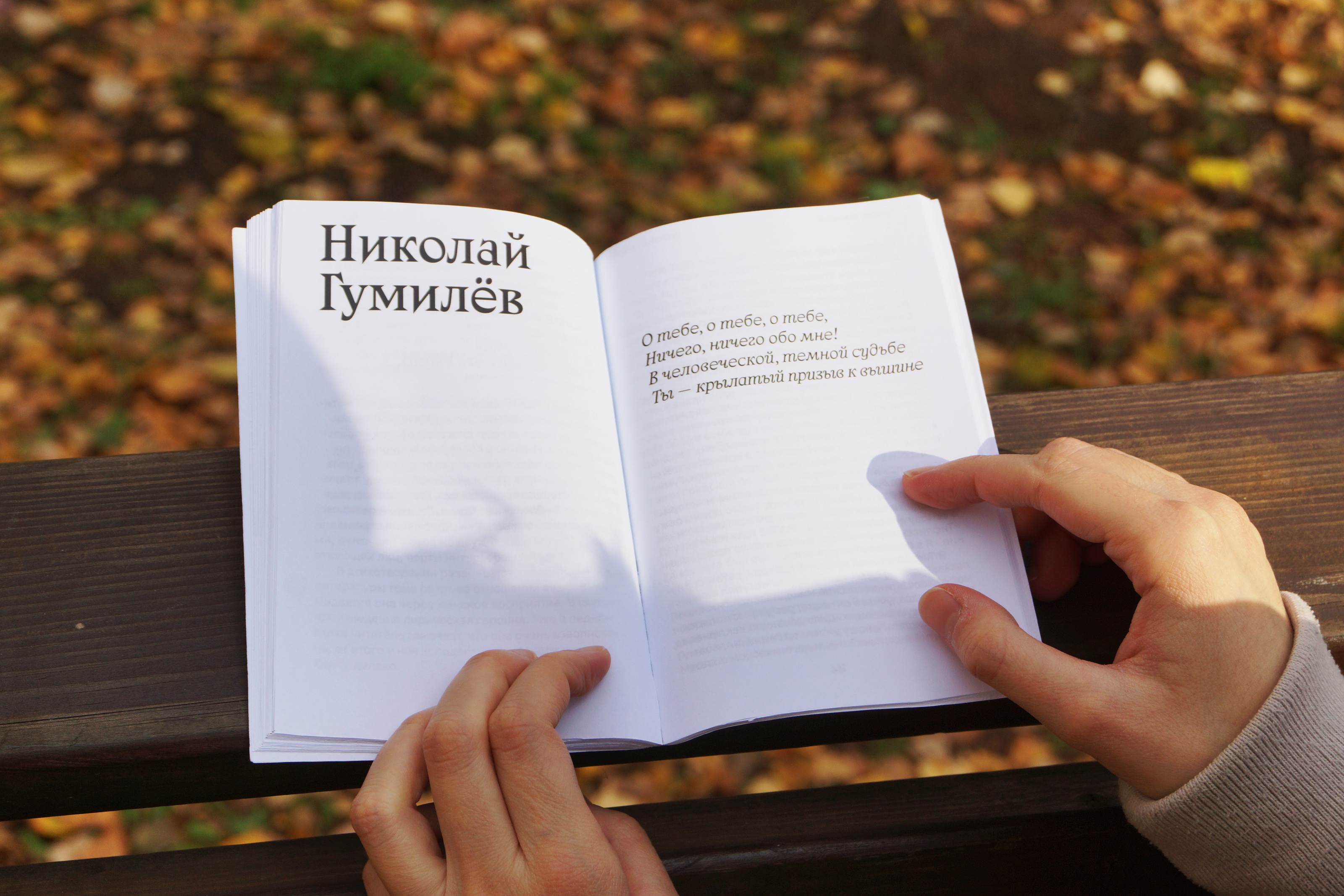 любовная лирика — Изображение №6 — Брендинг, Графика на Dprofile