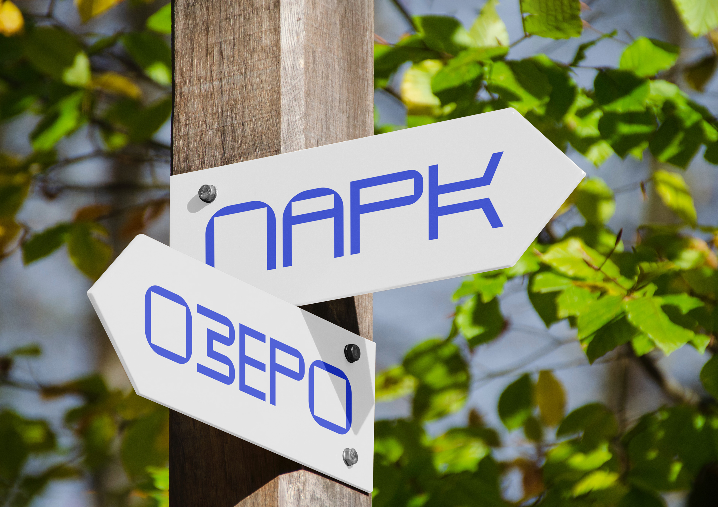 ВыксаДром — Изображение №31 — Брендинг, Графика на Dprofile