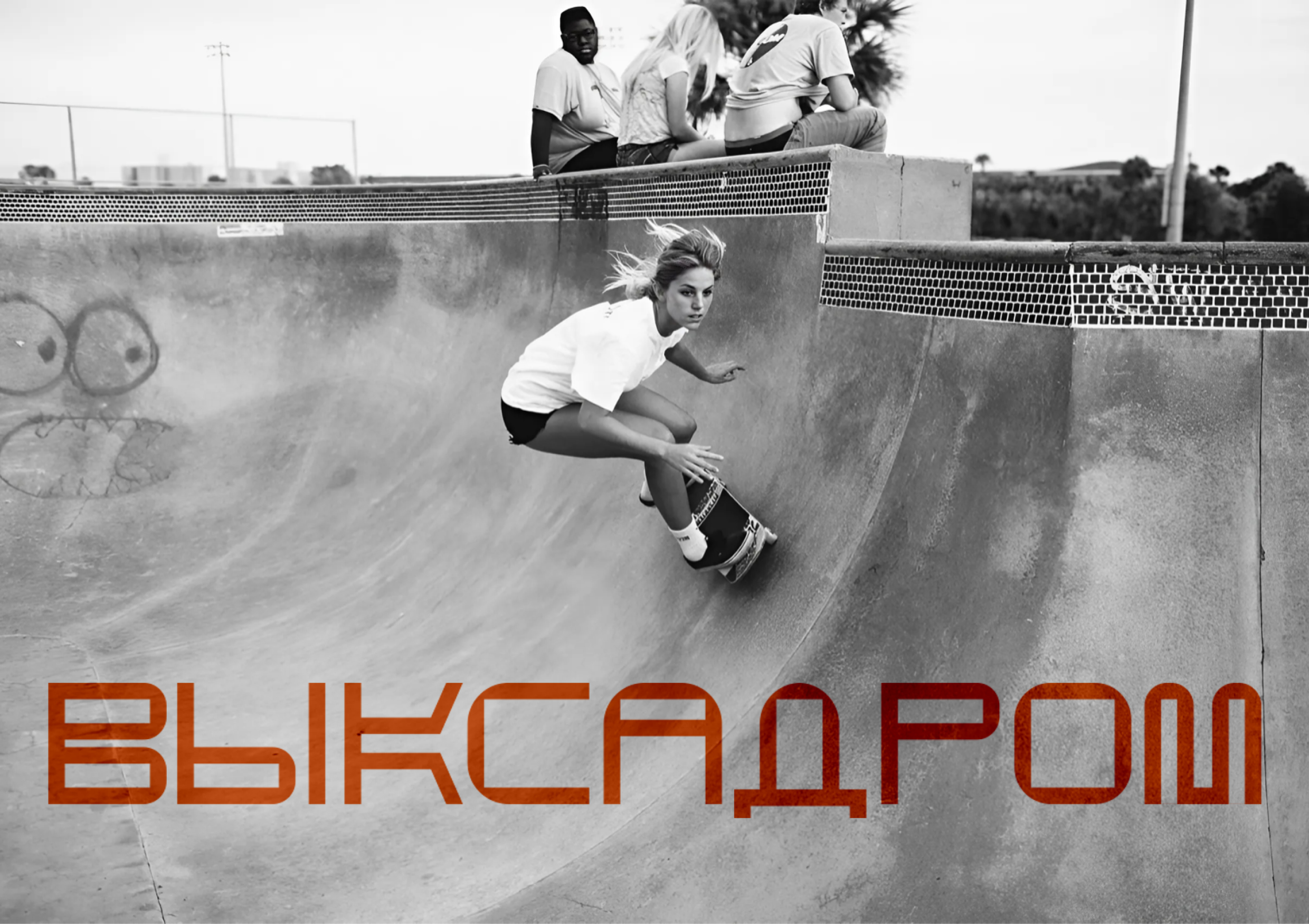 ВыксаДром — Изображение №13 — Брендинг, Графика на Dprofile