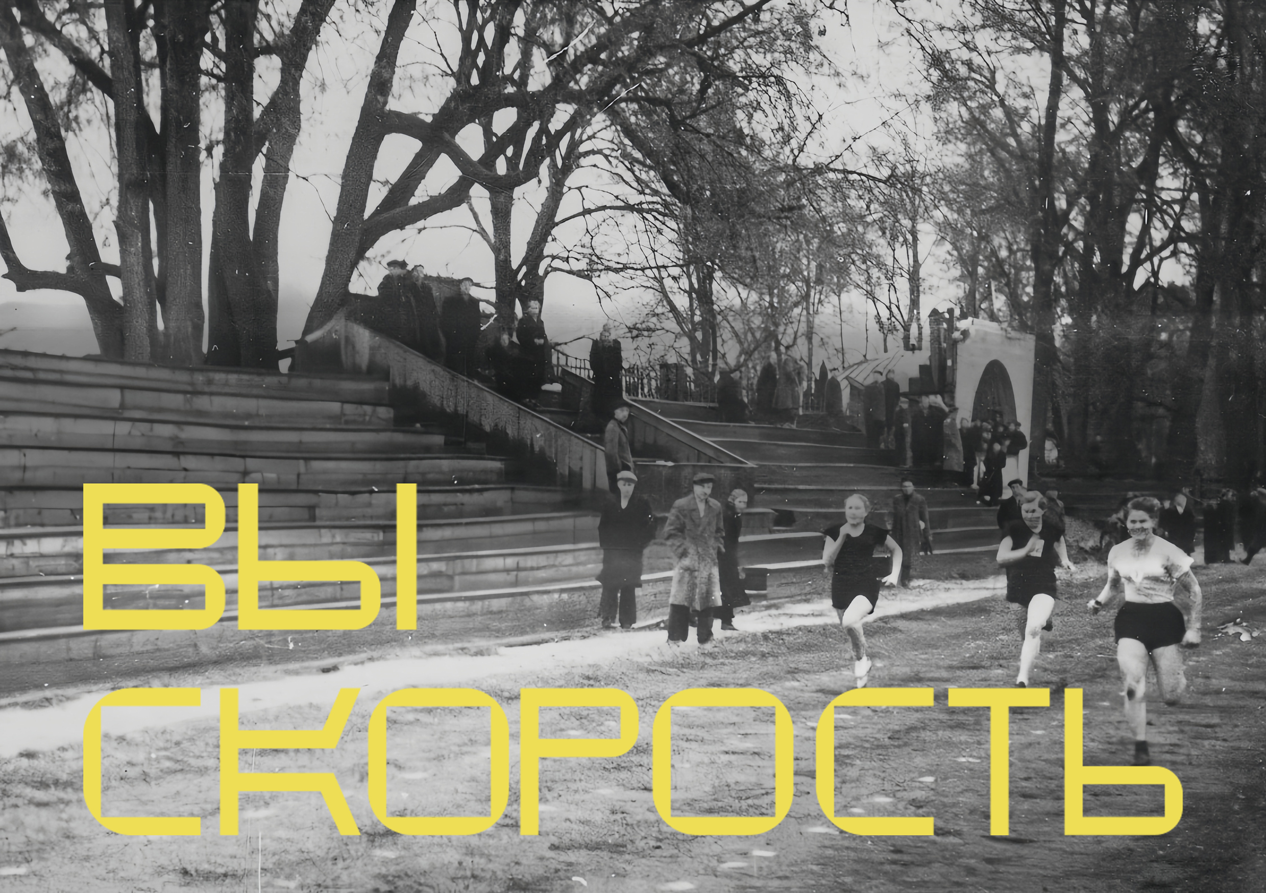 ВыксаДром — Изображение №10 — Брендинг, Графика на Dprofile