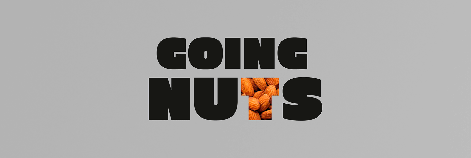 Упаковка орехов и сухофруктов бренда Going Nuts (США) — Изображение №7 — Брендинг, Иллюстрация на Dprofile
