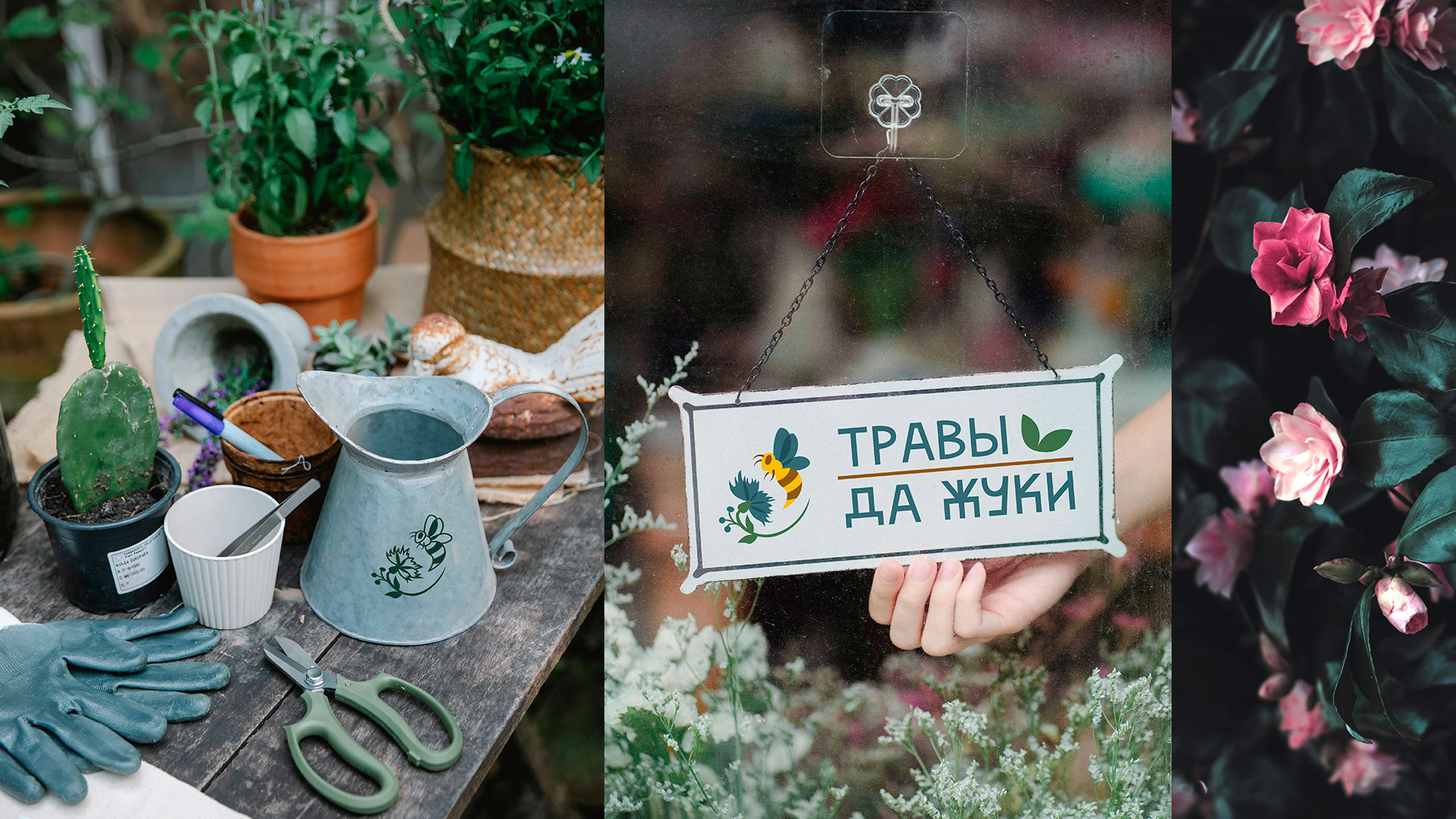travi da zhuku/ BRAND DESIGN — Изображение №6 — Графика на Dprofile