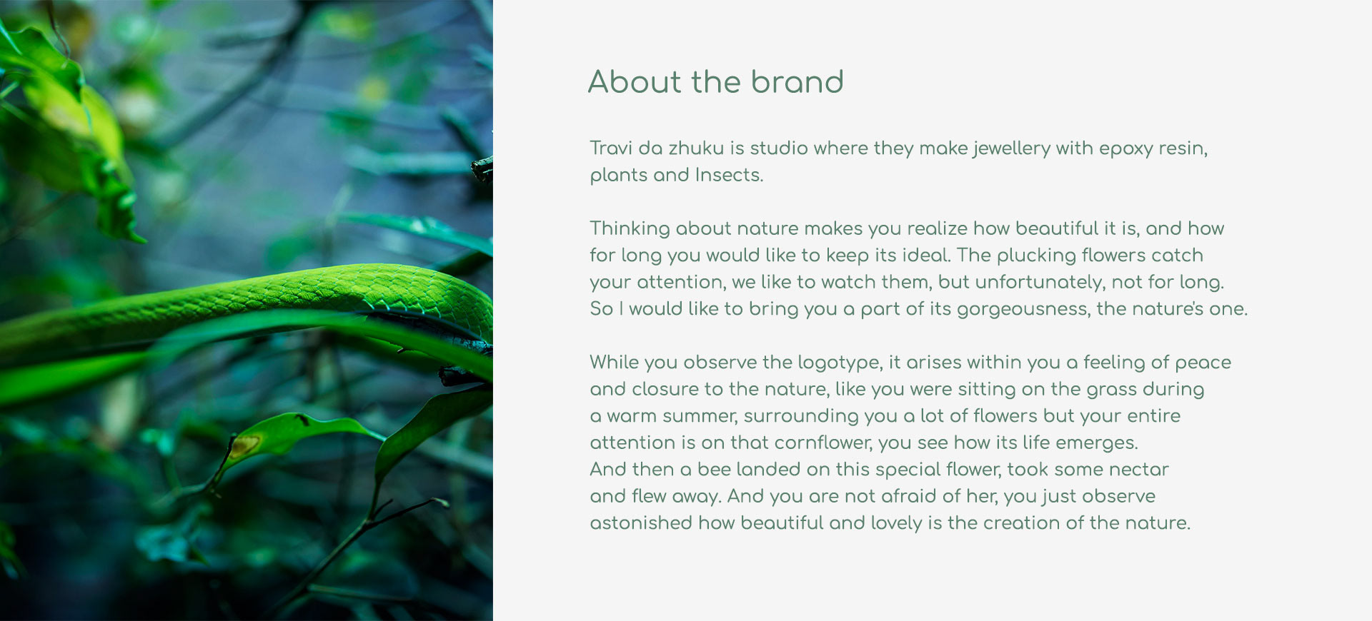 travi da zhuku/ BRAND DESIGN — Изображение №3 — Графика на Dprofile