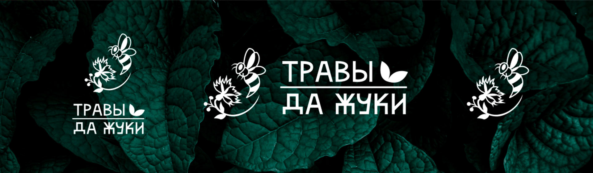 travi da zhuku/ BRAND DESIGN — Изображение №11 — Графика на Dprofile