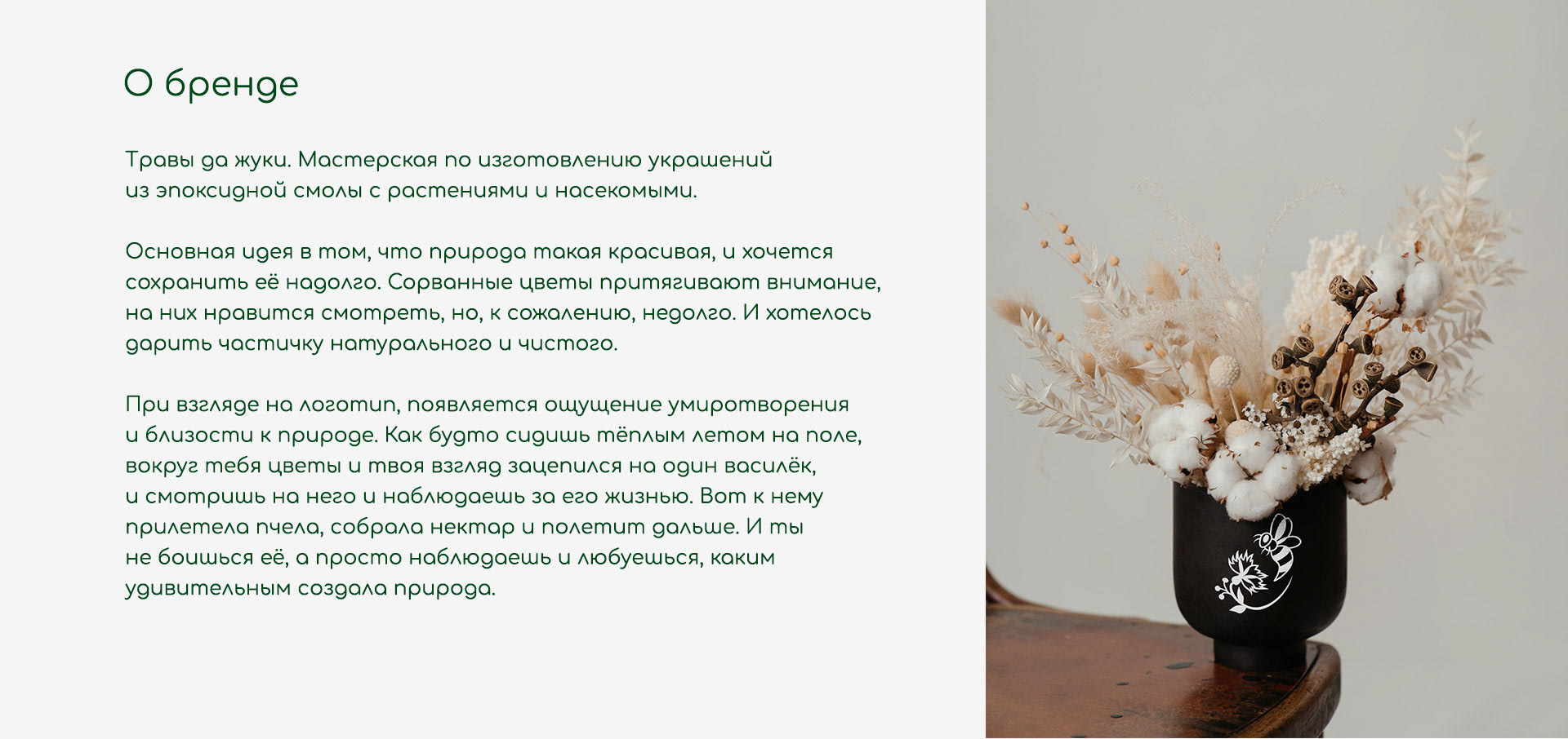 travi da zhuku/ BRAND DESIGN — Изображение №2 — Графика на Dprofile