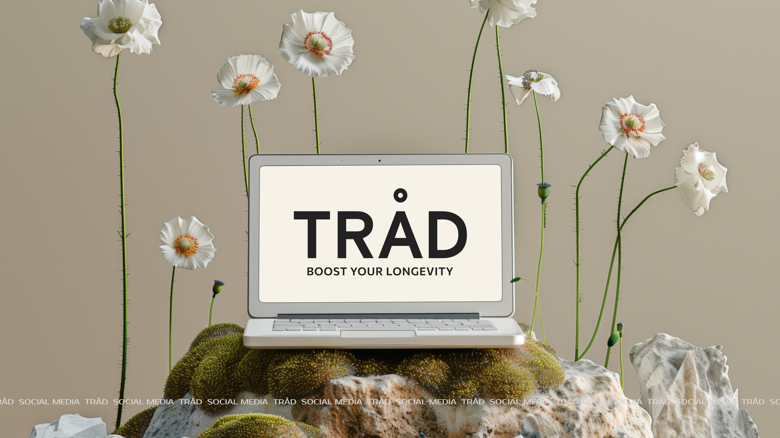 SOCIAL MEDIA | TRAD WELLNESS BRAND  | BRAND IDENTITY — Изображение №2 — Брендинг, Графика на Dprofile