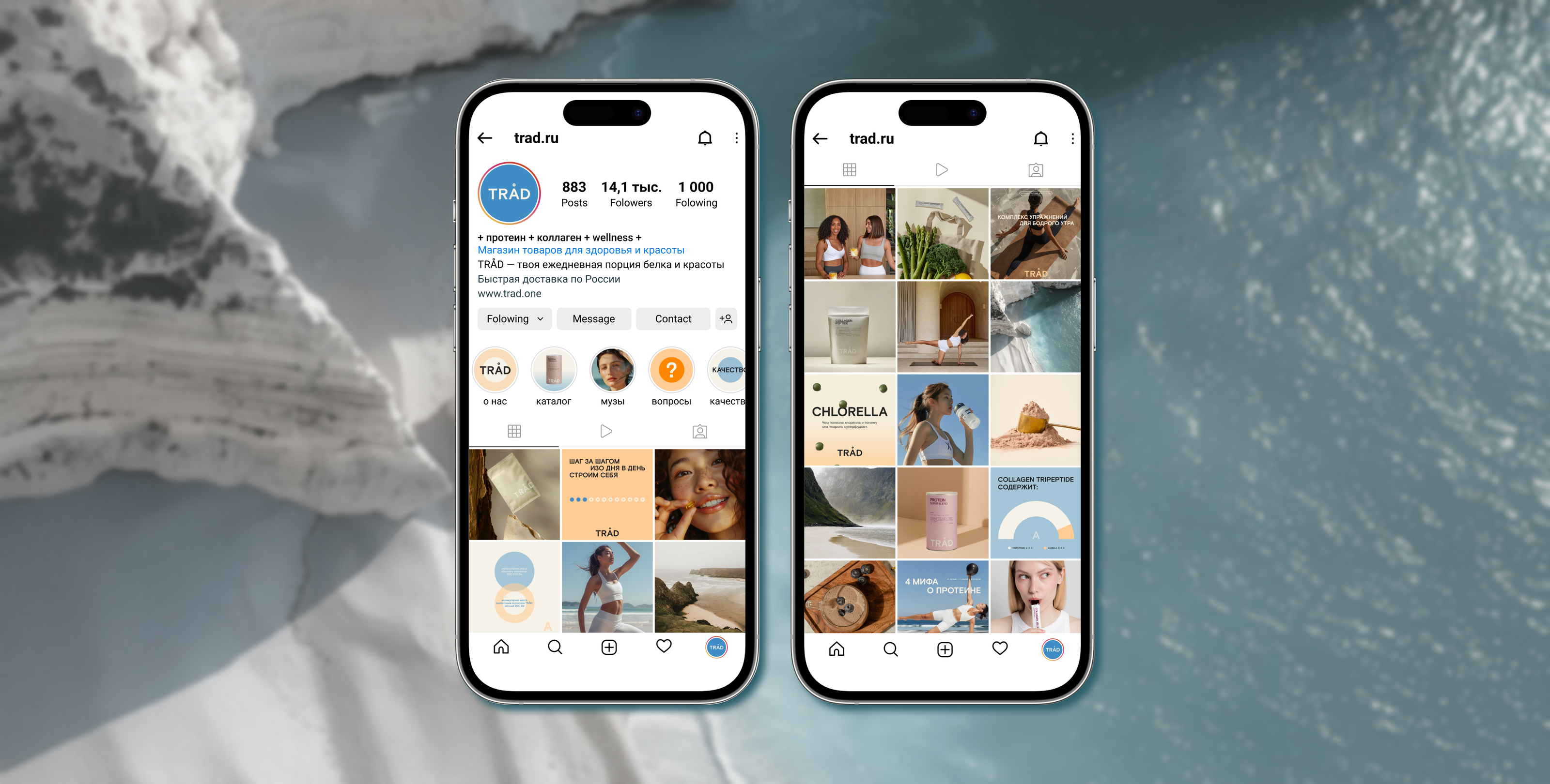 SOCIAL MEDIA | TRAD WELLNESS BRAND  | BRAND IDENTITY — Изображение №6 — Брендинг, Графика на Dprofile