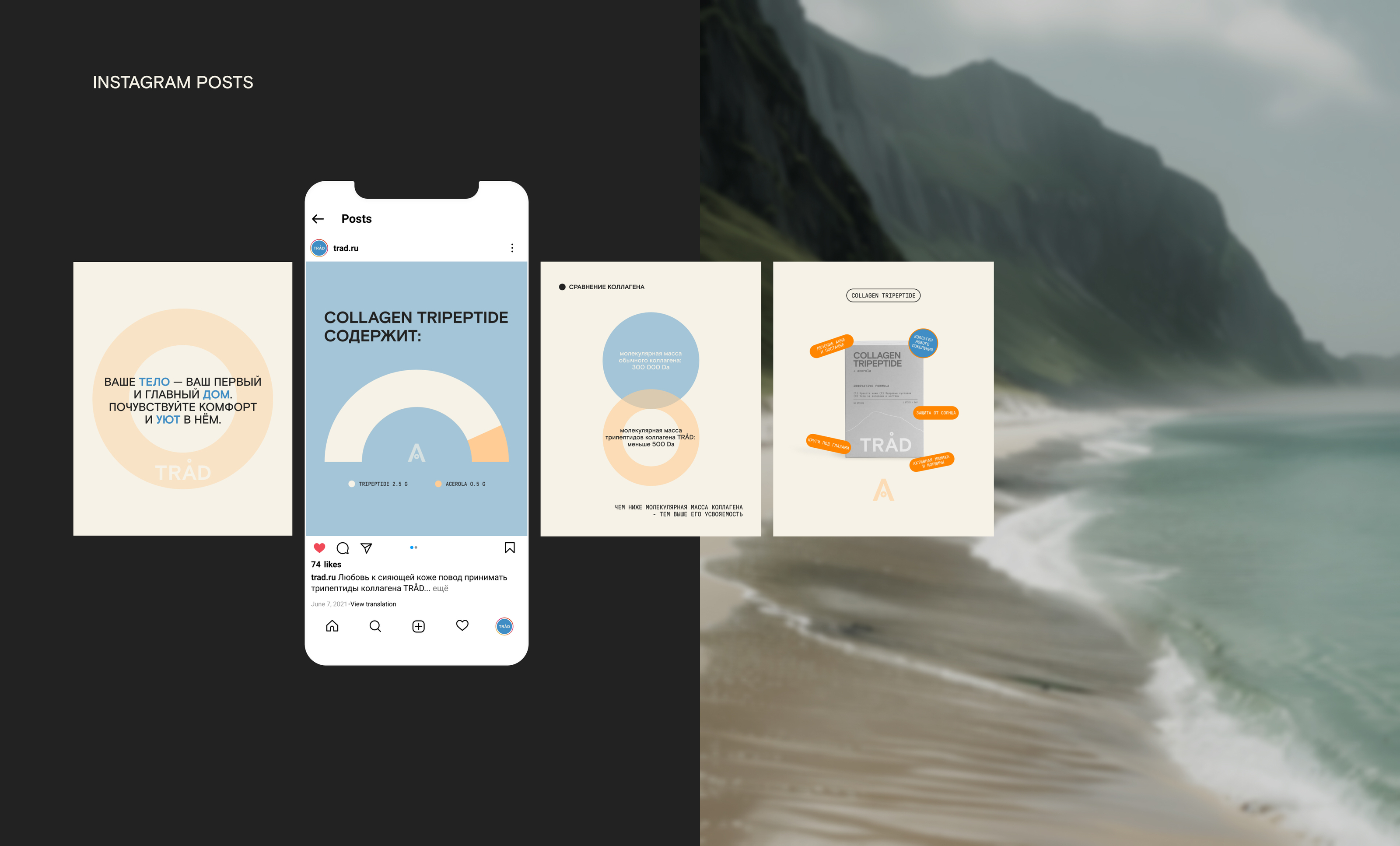 SOCIAL MEDIA | TRAD WELLNESS BRAND  | BRAND IDENTITY — Изображение №12 — Брендинг, Графика на Dprofile