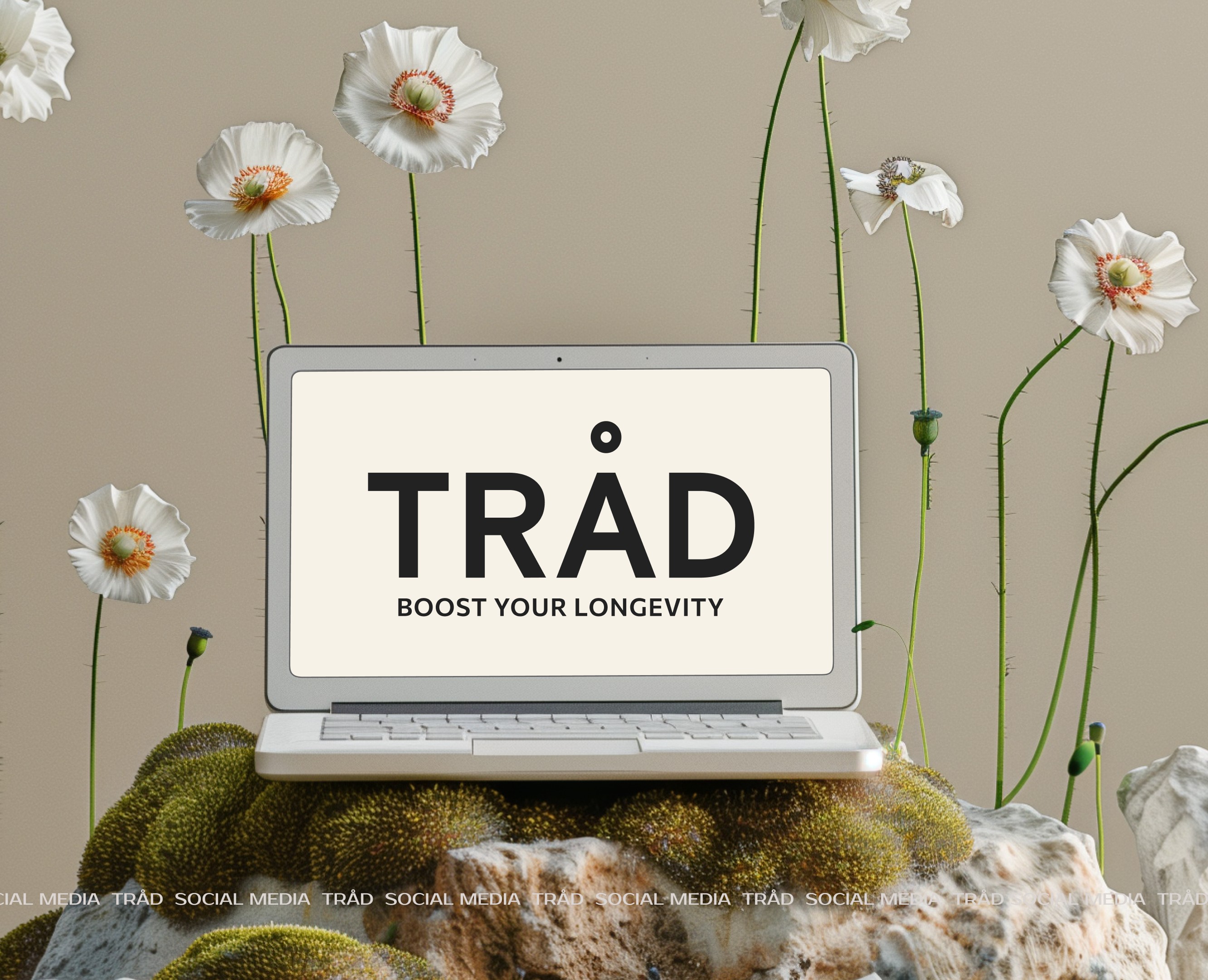 SOCIAL MEDIA | TRAD WELLNESS BRAND  | BRAND IDENTITY — Брендинг, Графика на Dprofile