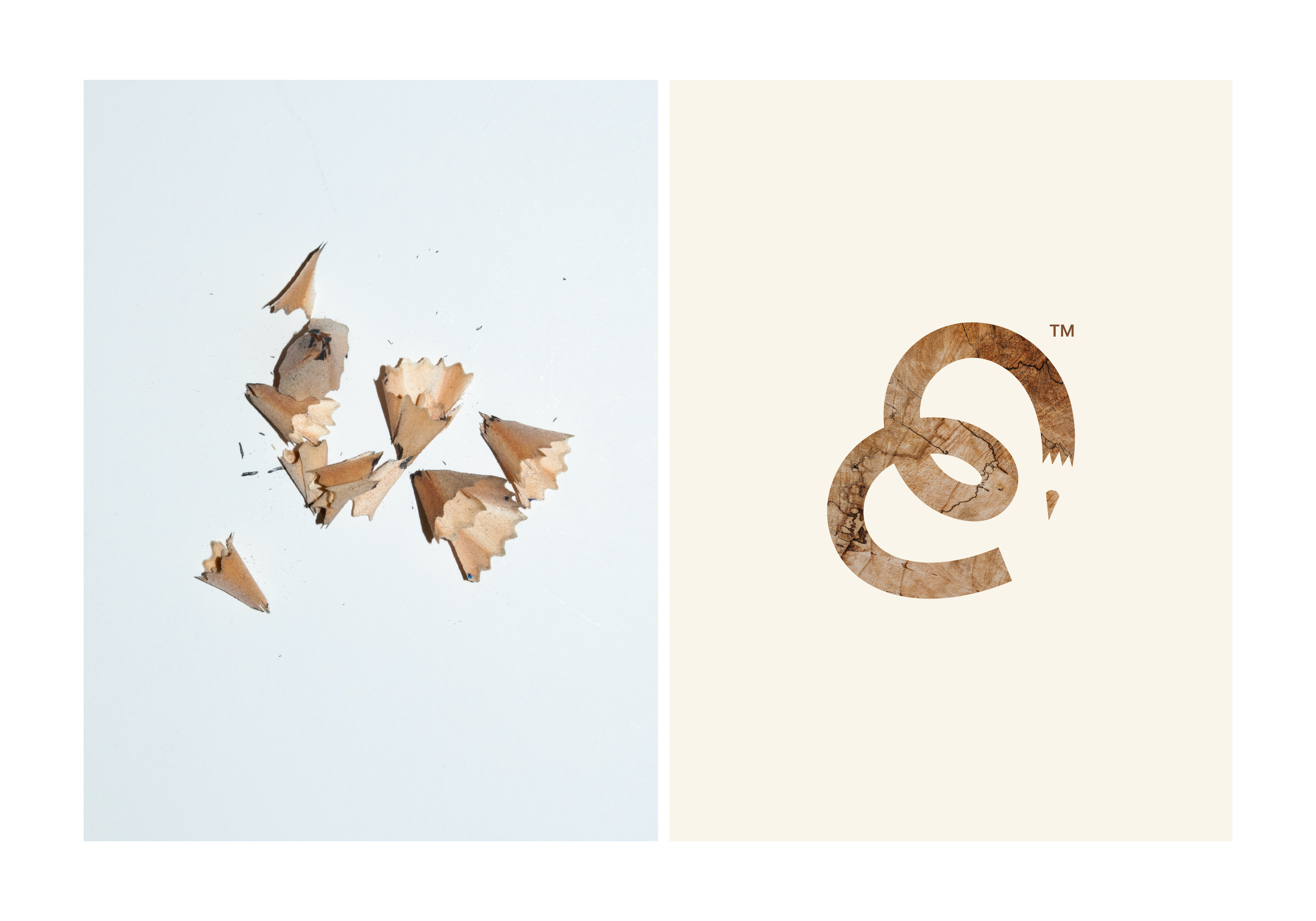 Melanote. Brand Identity — Изображение №1 — Брендинг, Графика на Dprofile