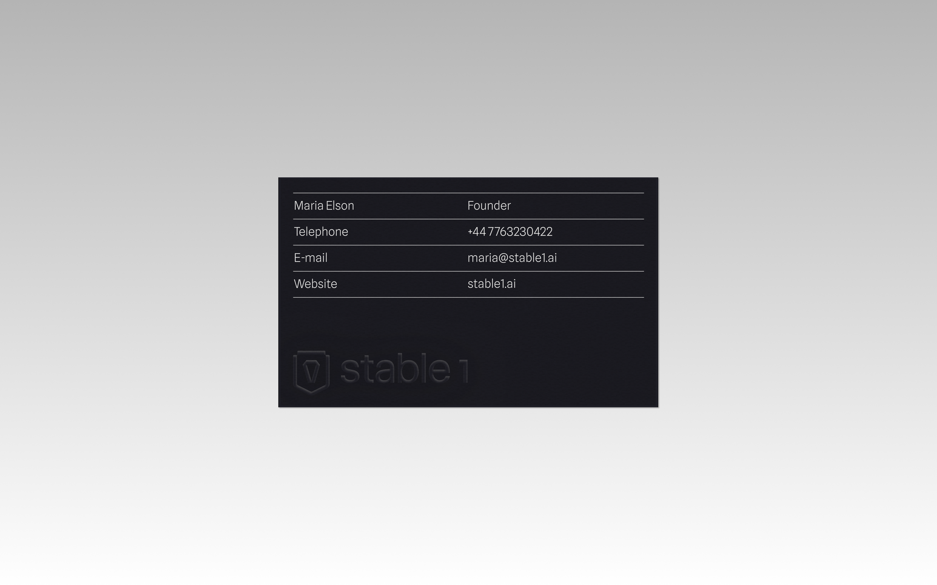 Stable 1. Powered by AI — Изображение №3 — Брендинг, Маркетинг на Dprofile