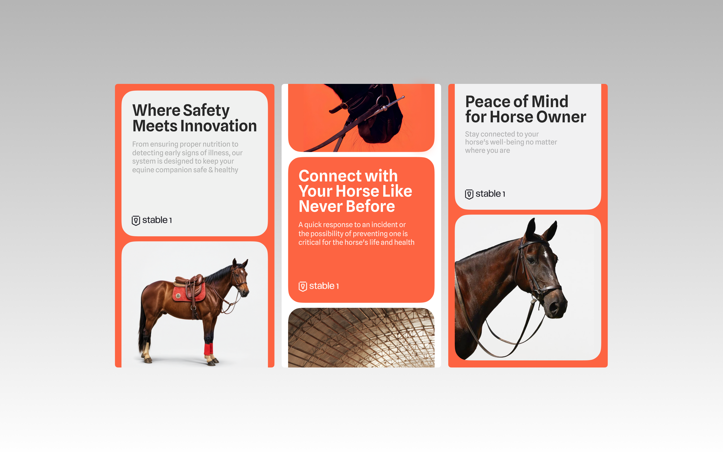 Stable 1. Powered by AI — Изображение №11 — Брендинг, Маркетинг на Dprofile