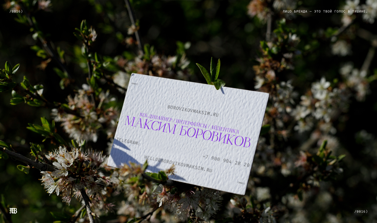 Личный бренд и сайт Maksim Borovikov — Изображение №17 — Интерфейсы, Брендинг на Dprofile