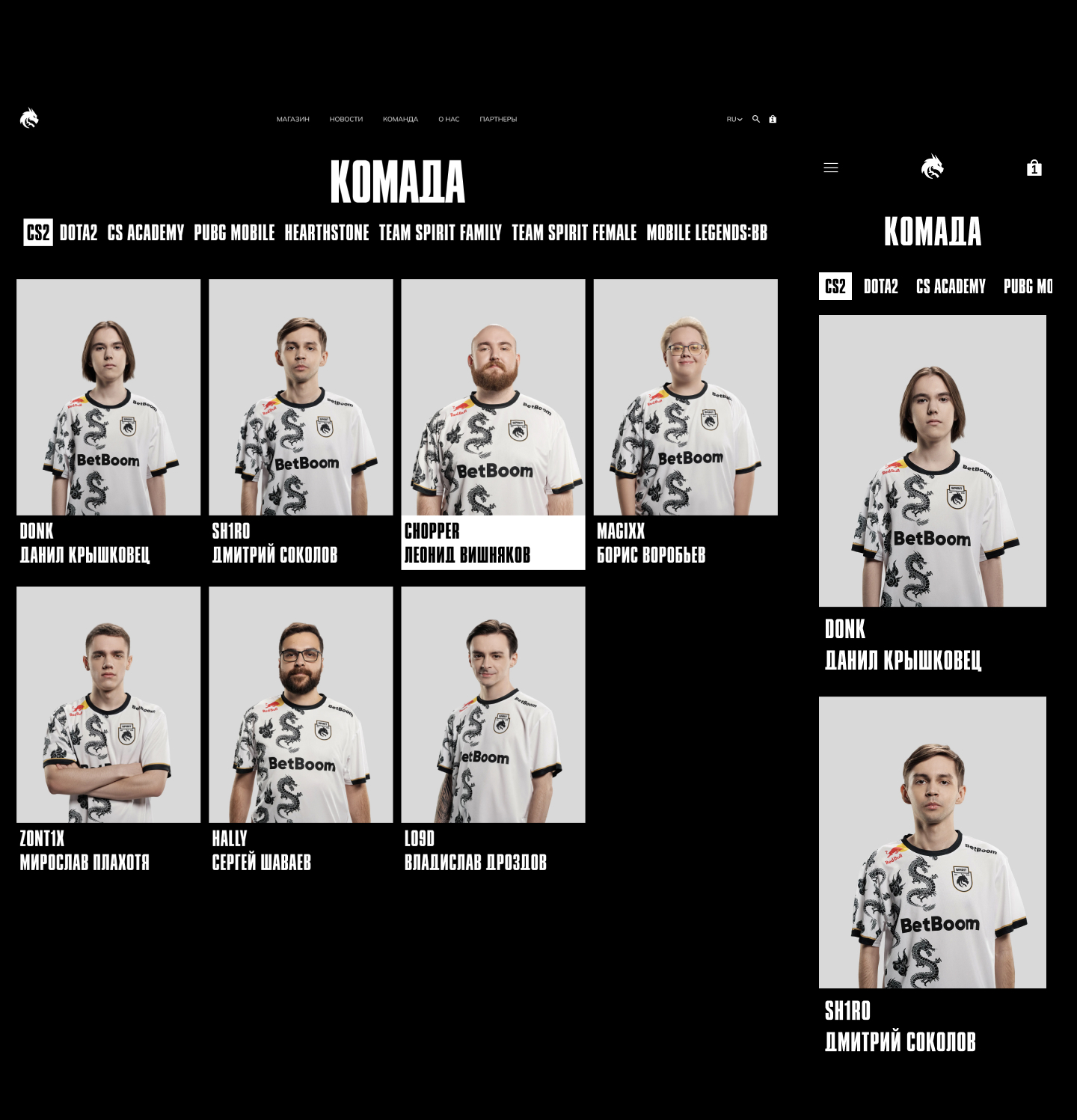 Team Spirit Редизайн сайта концепт — Изображение №16 — Интерфейсы, Графика на Dprofile