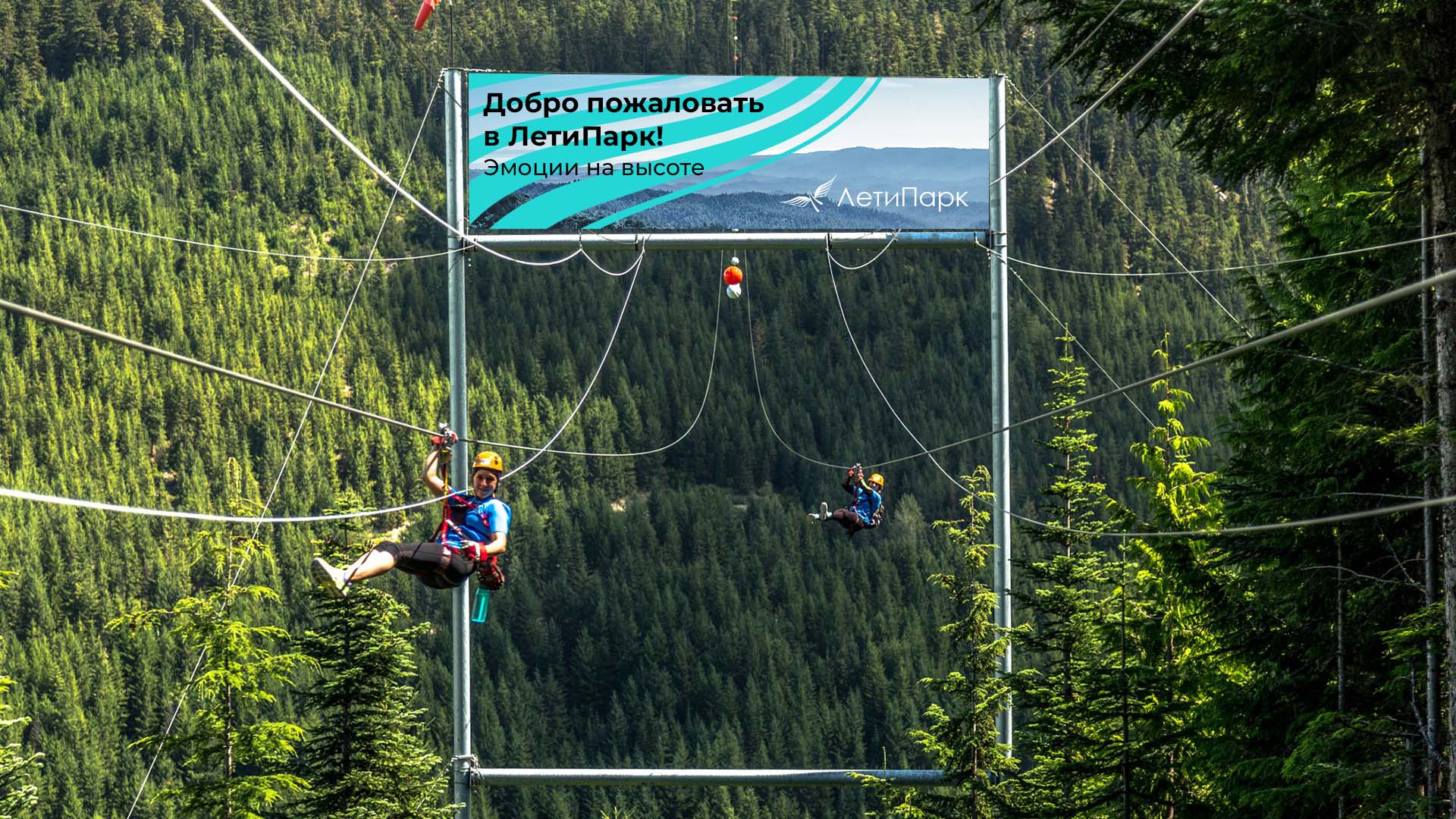 Фирменный стиль ЛетиПарк — Изображение №7 — Брендинг на Dprofile