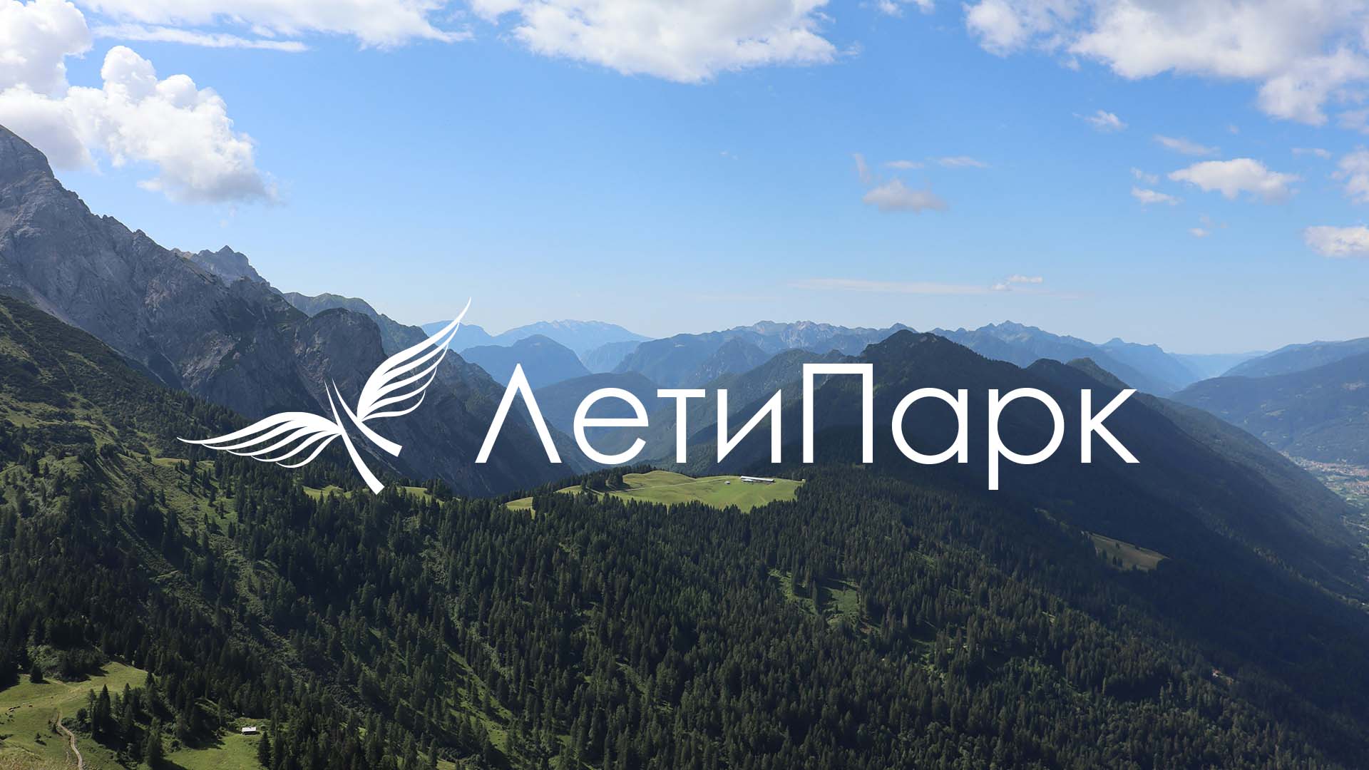 Фирменный стиль ЛетиПарк — Изображение №3 — Брендинг на Dprofile