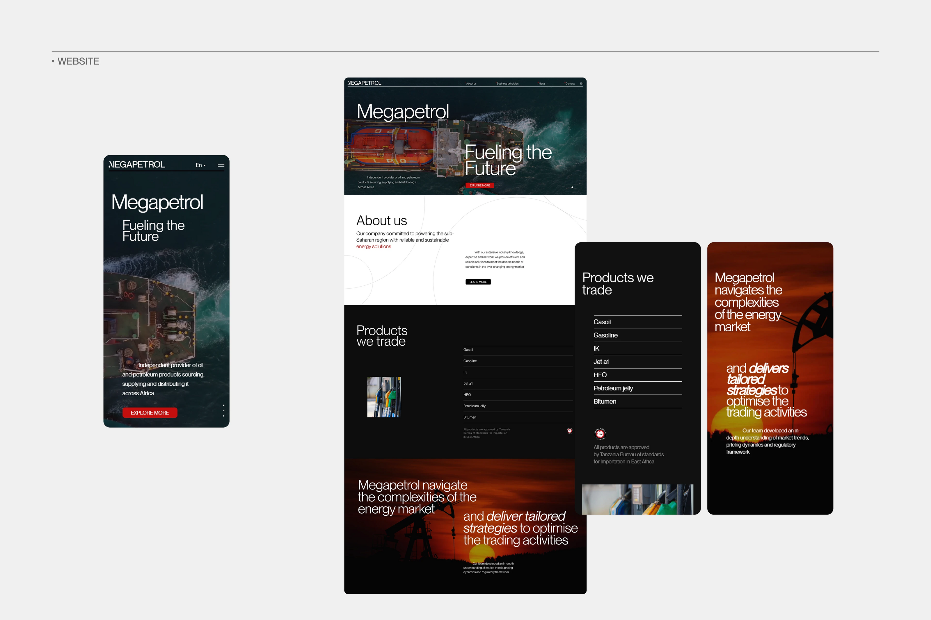 Megapetrol — Изображение №7 — Интерфейсы, Брендинг на Dprofile