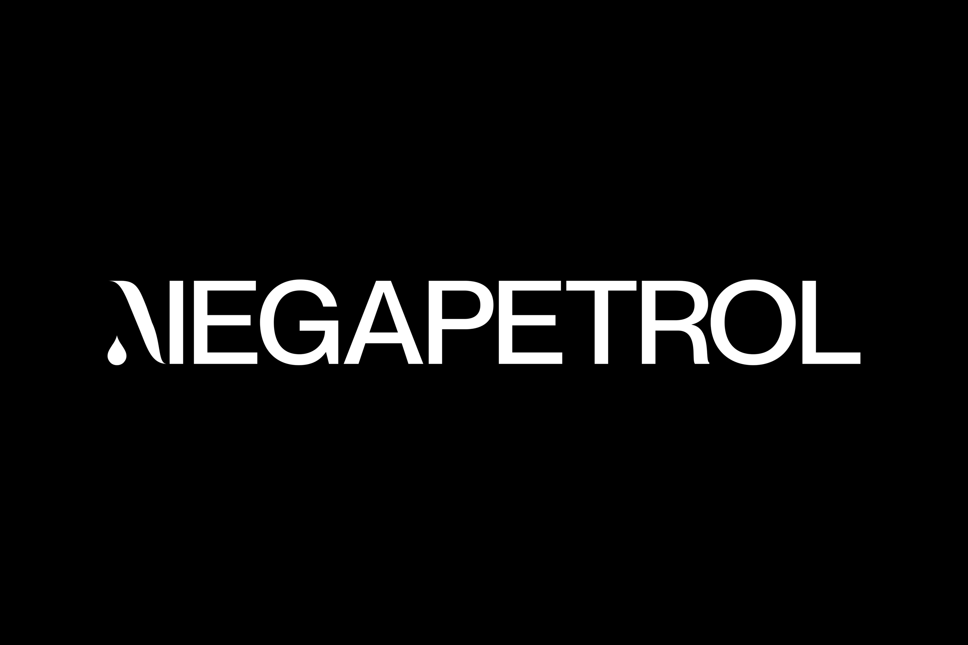 Megapetrol — Изображение №2 — Интерфейсы, Брендинг на Dprofile