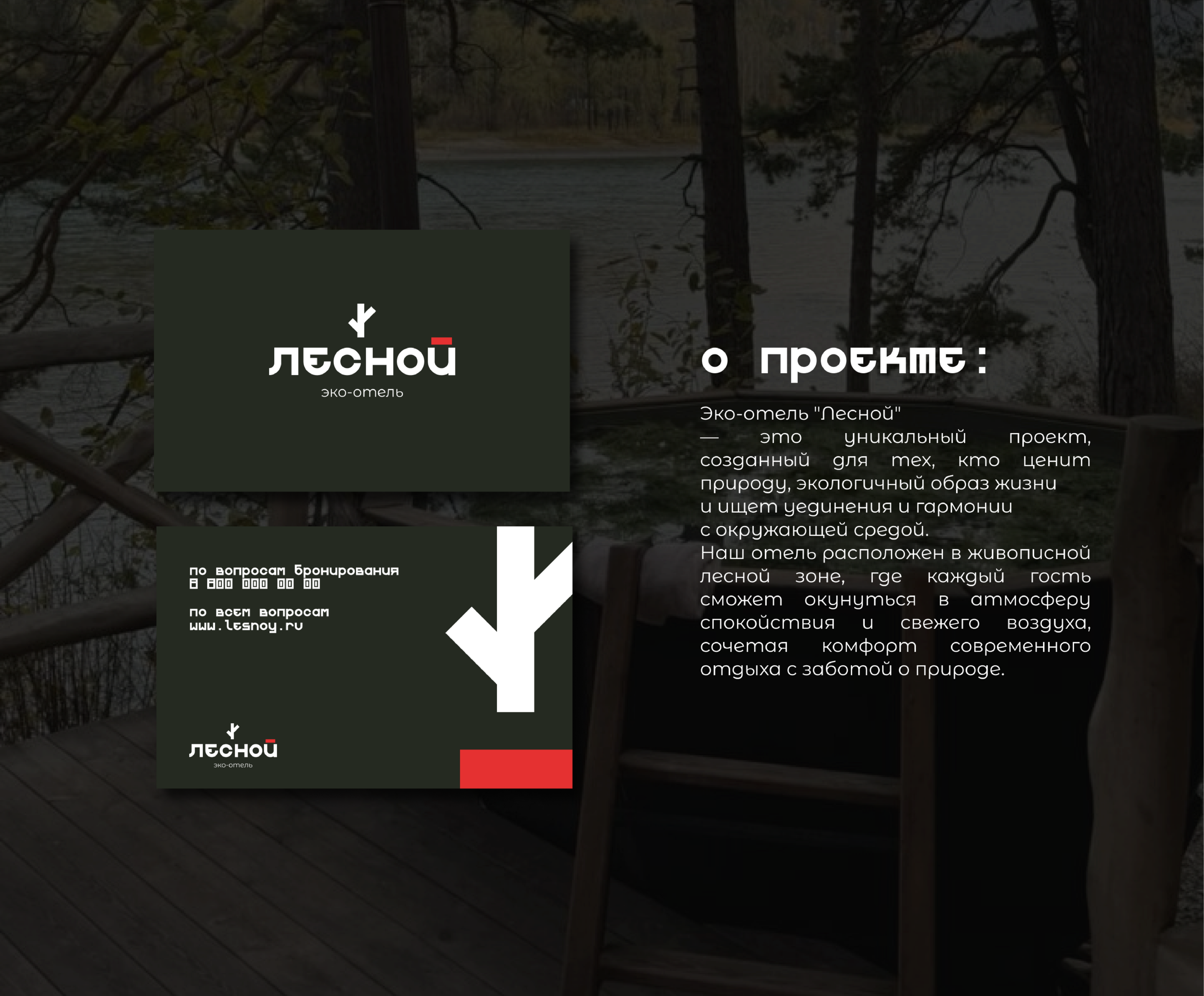 Логотип и Фирменный стиль / Эко-отель/ Лесной — Изображение №4 — Брендинг на Dprofile