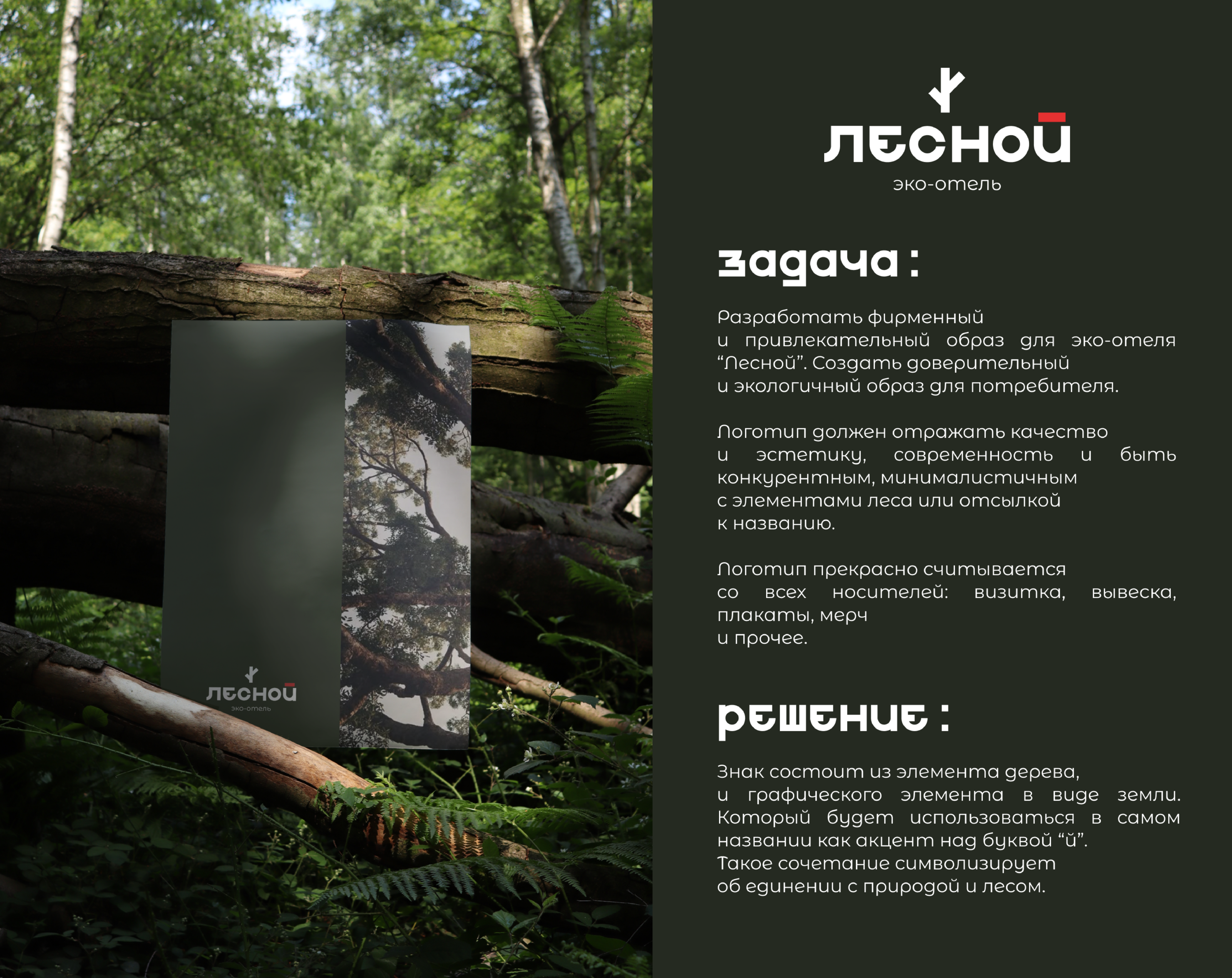 Логотип и Фирменный стиль / Эко-отель/ Лесной — Изображение №3 — Брендинг на Dprofile