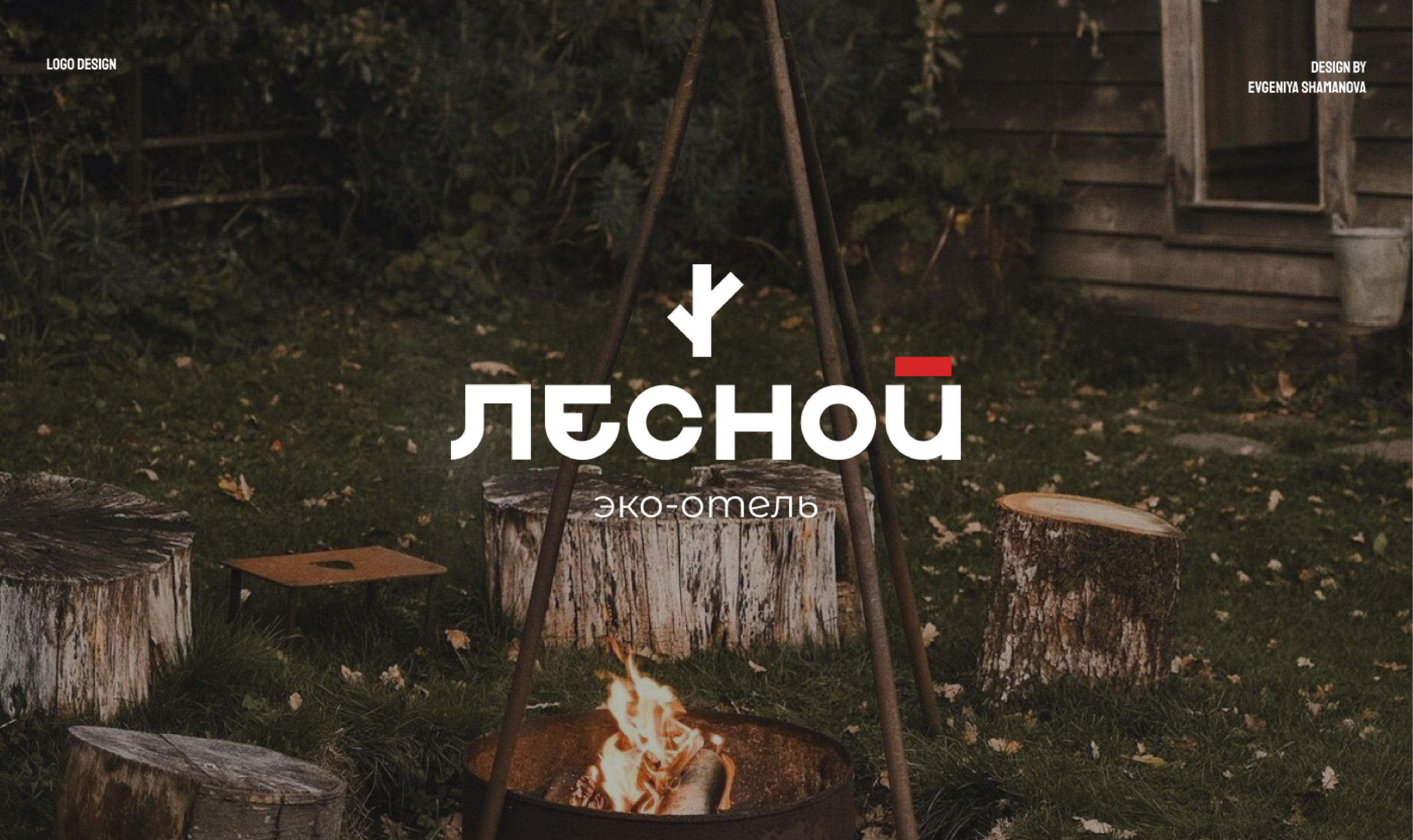 Логотип и Фирменный стиль / Эко-отель/ Лесной — Изображение №1 — Брендинг на Dprofile