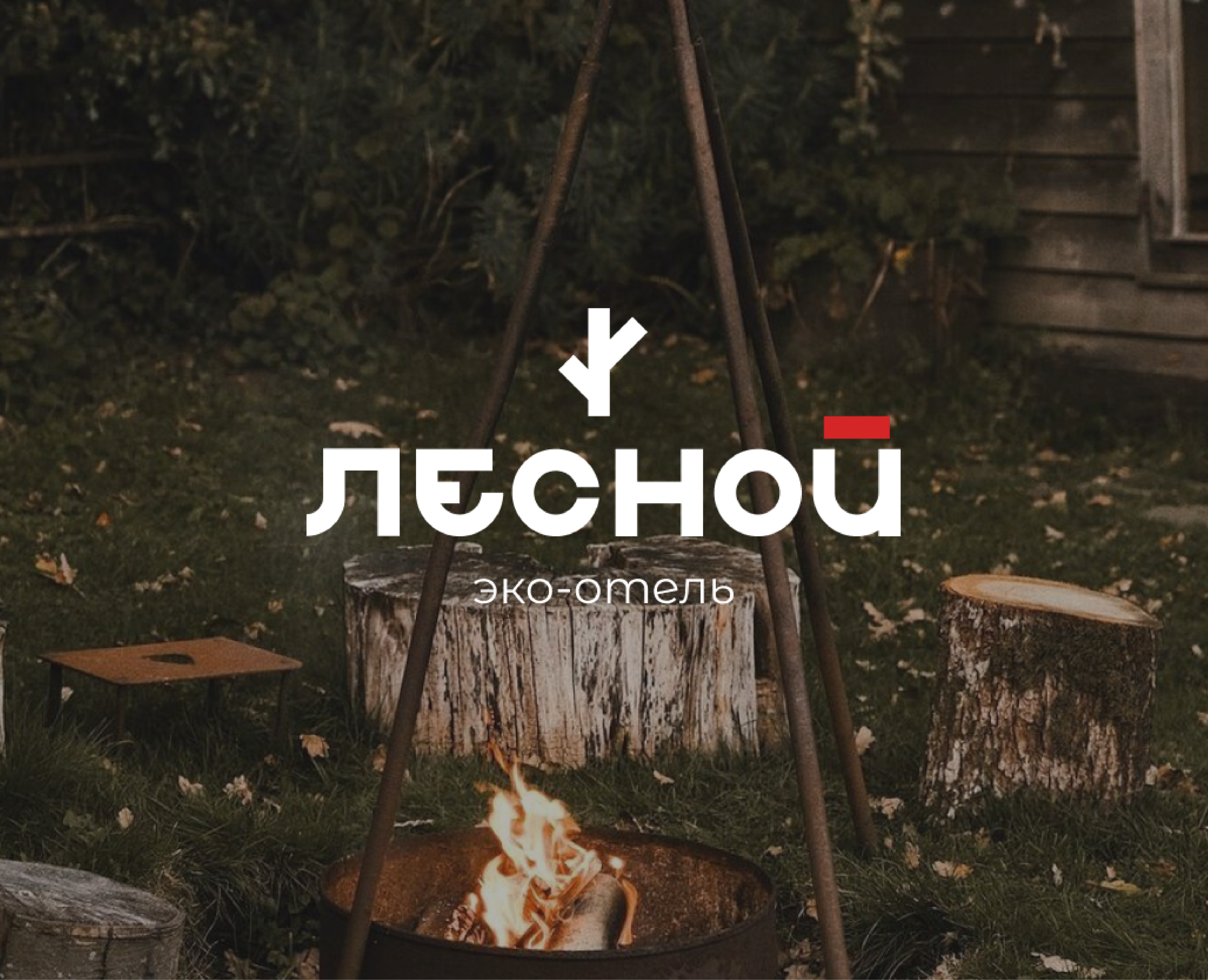 Логотип и Фирменный стиль / Эко-отель/ Лесной — Брендинг на Dprofile
