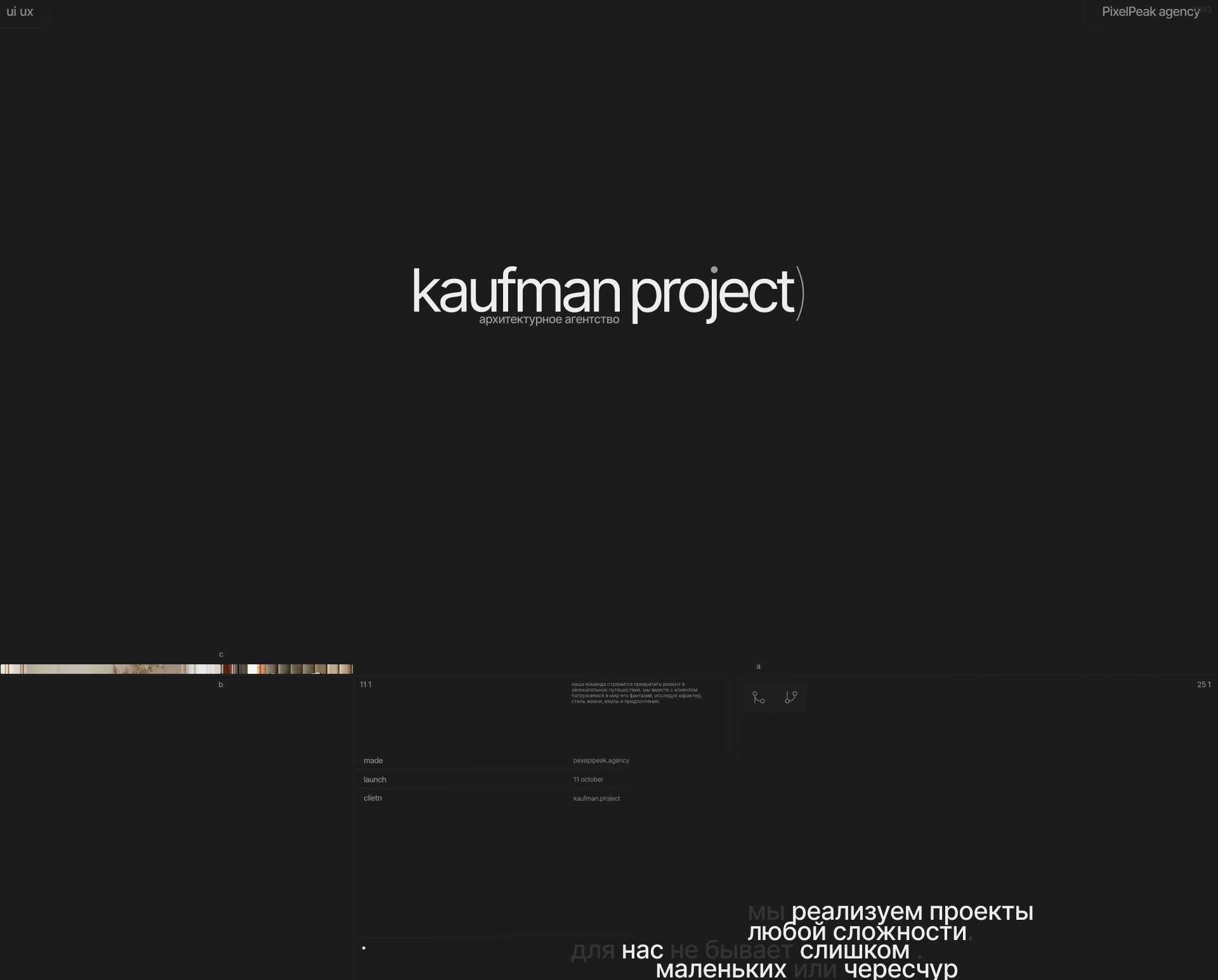 Kaufman project - архитектурное бюро — Изображение №1 — Интерфейсы на Dprofile
