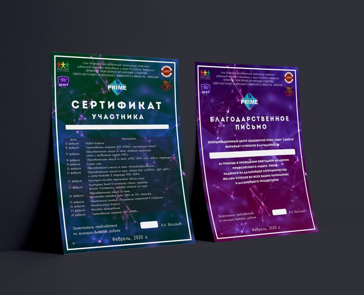 "PRIME" сертификат и благодарственное письмо на Dprofile