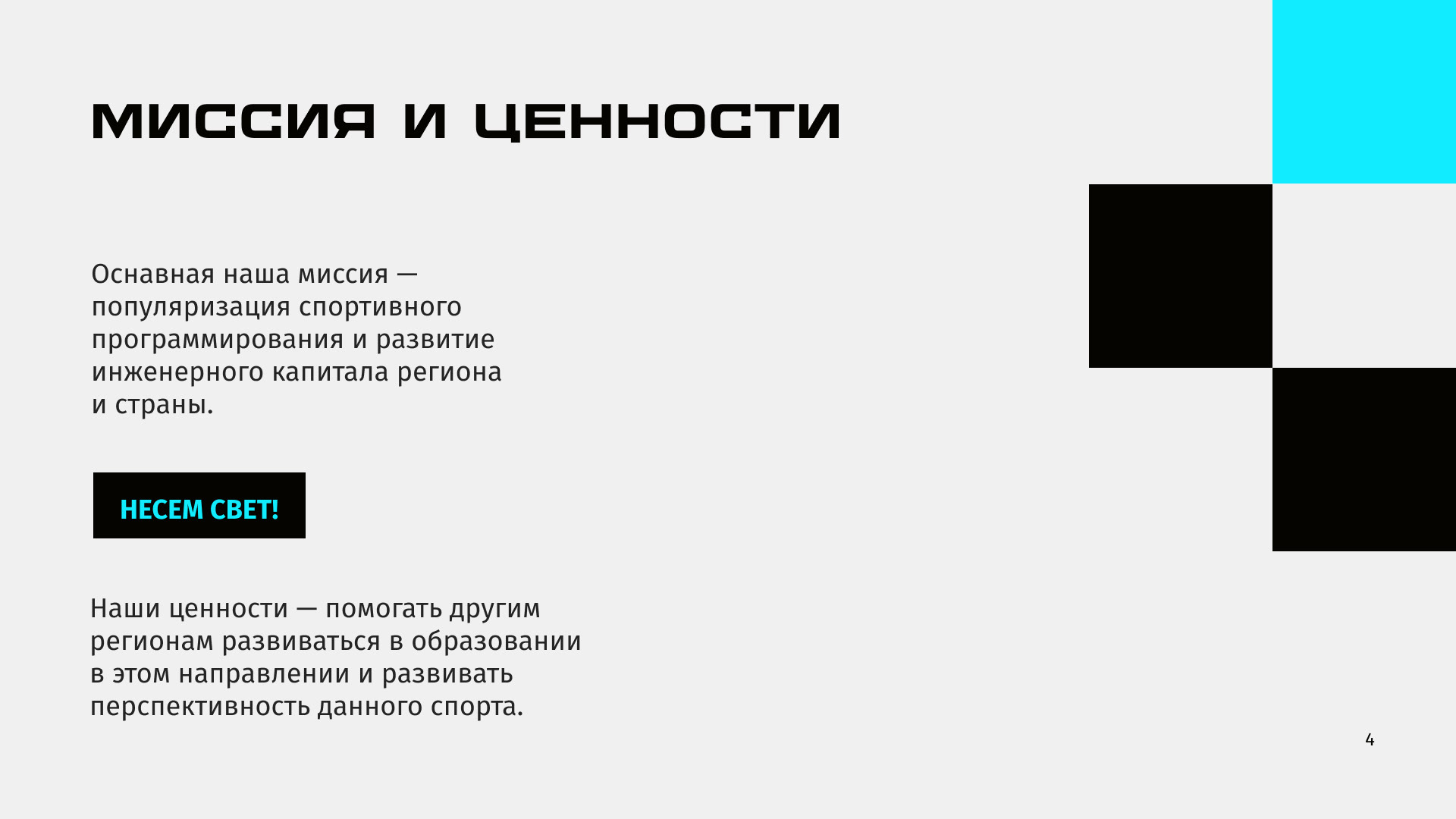 Брендбук для федерации спортивного программирования — Изображение №4 — Брендинг на Dprofile