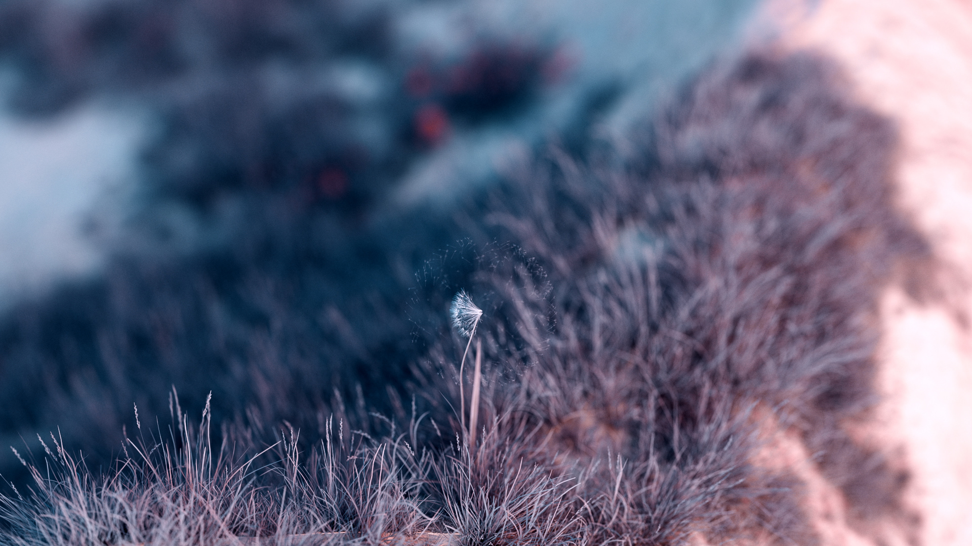 Reclaiming the Dream — Изображение №9 — 3D, Анимация на Dprofile