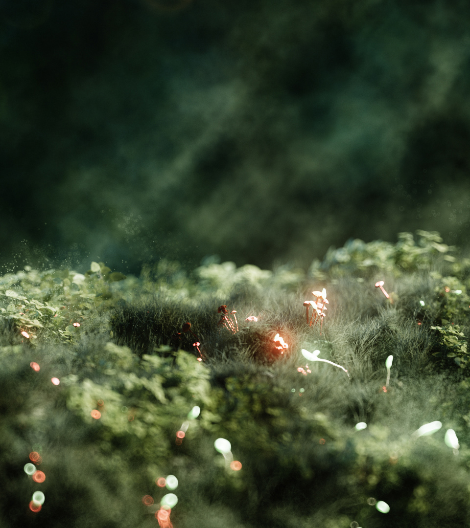 Sofa Moss — Изображение №6 — 3D, Анимация на Dprofile