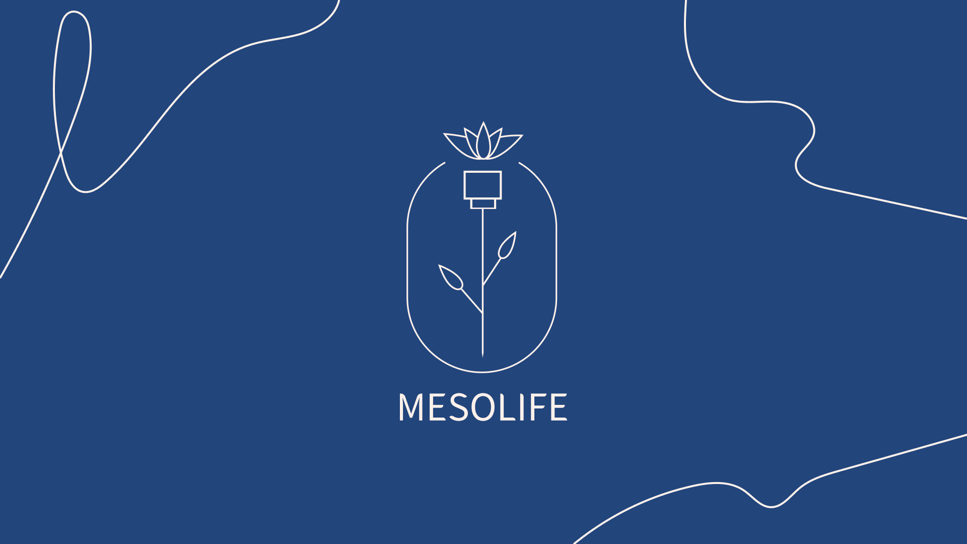 Mesolife — Изображение №1 — Брендинг на Dprofile