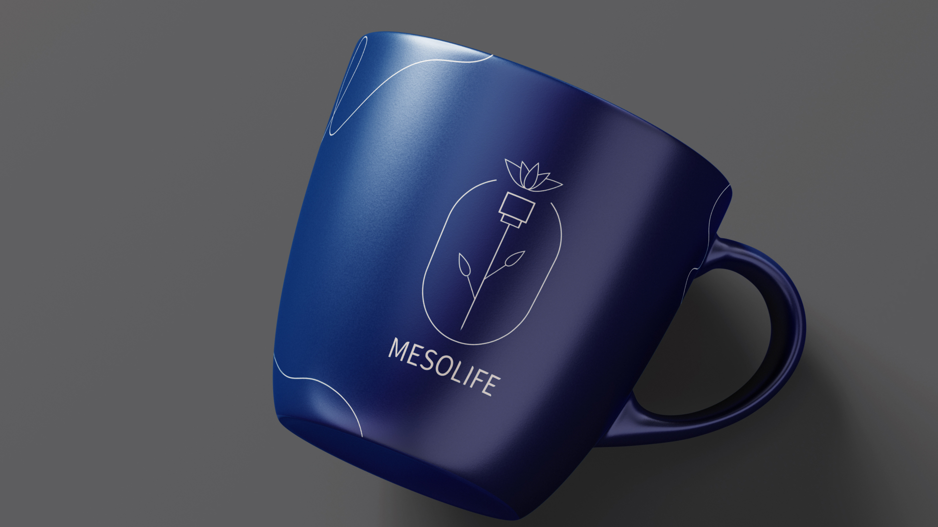 Mesolife — Изображение №8 — Брендинг на Dprofile