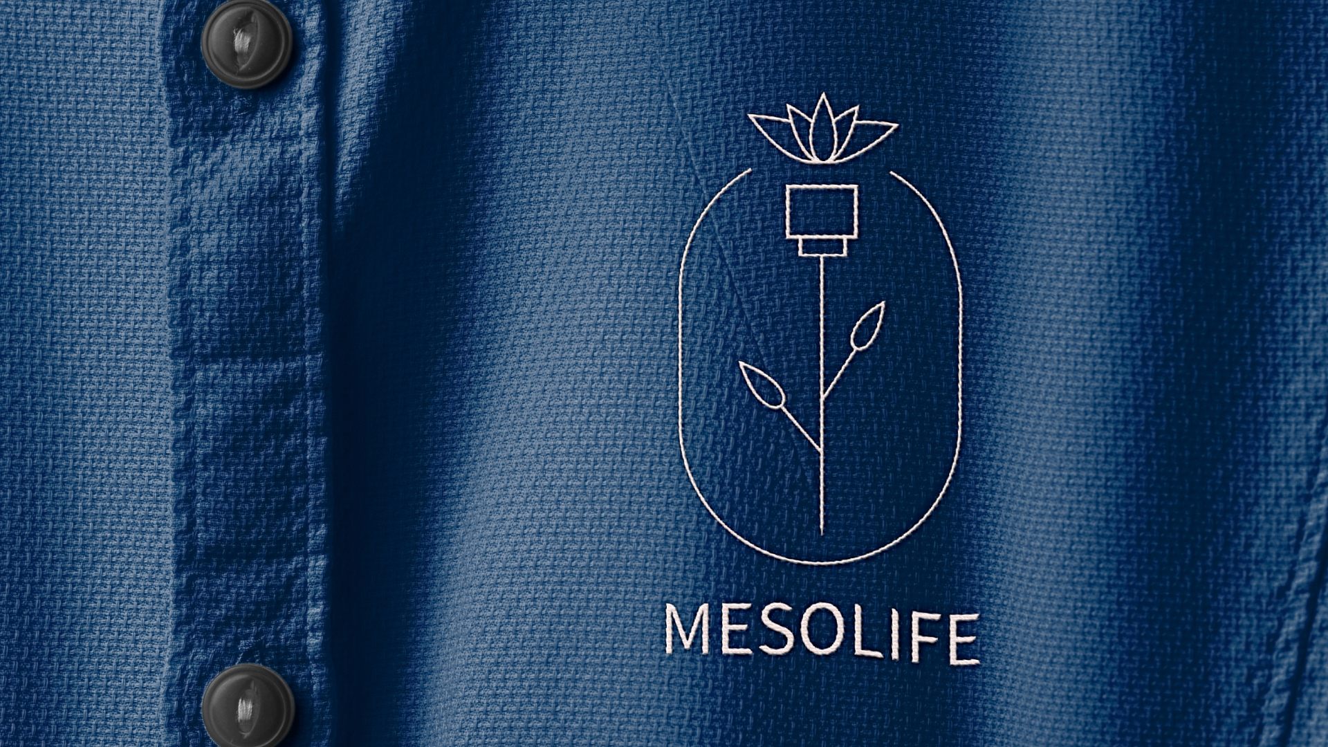 Mesolife — Изображение №7 — Брендинг на Dprofile
