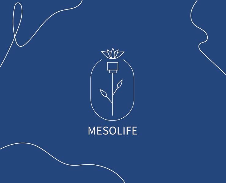 Mesolife — Брендинг на Dprofile