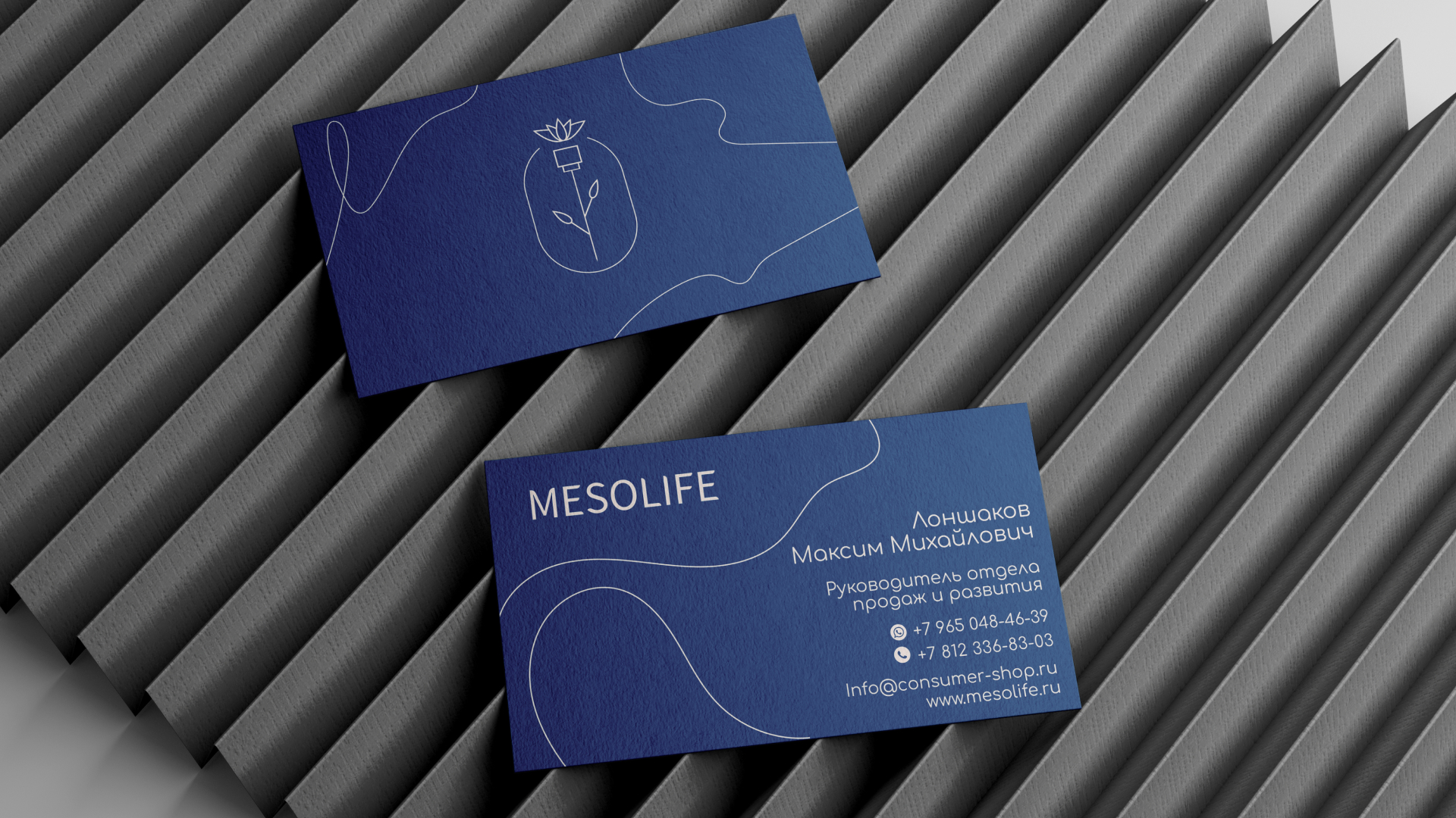 Mesolife — Изображение №5 — Брендинг на Dprofile