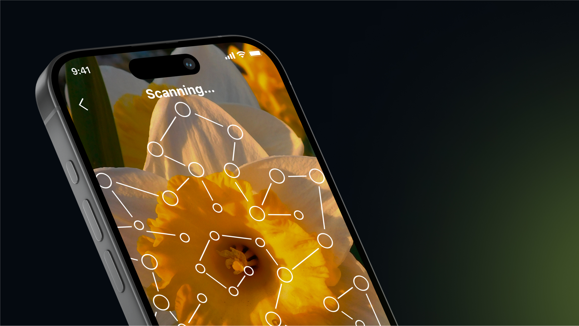 BIOID APP — Изображение №14 — Интерфейсы, Графика на Dprofile