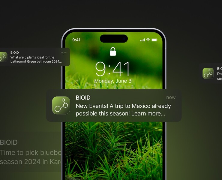 BIOID APP — Интерфейсы, Графика на Dprofile