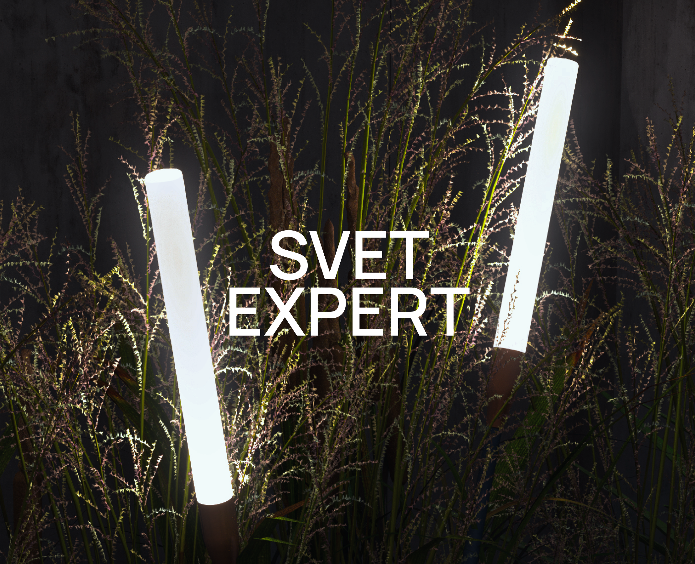 Svet Expert — Интерфейсы на Dprofile