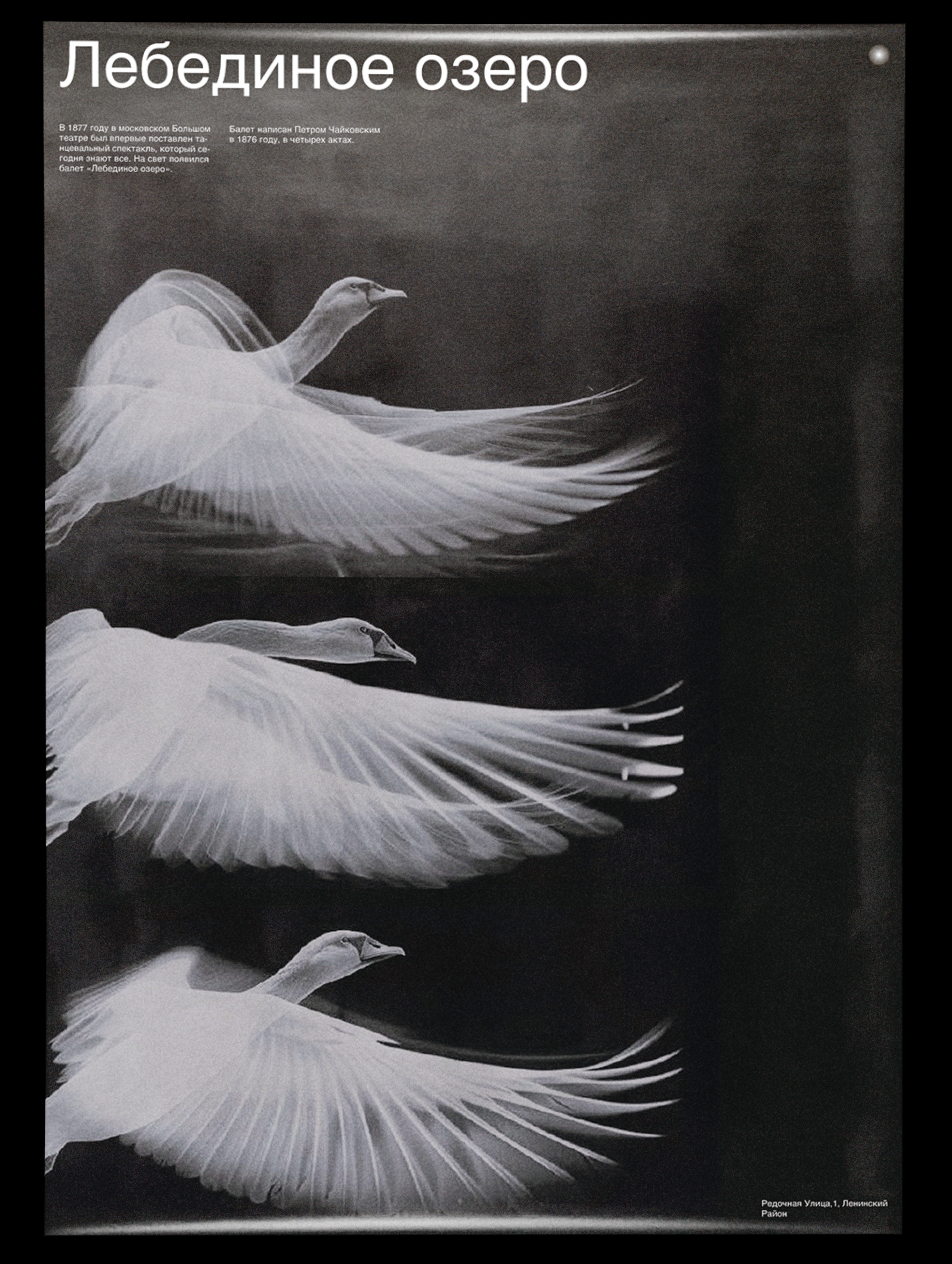 Ballet Identity — Изображение №5 — Брендинг на Dprofile