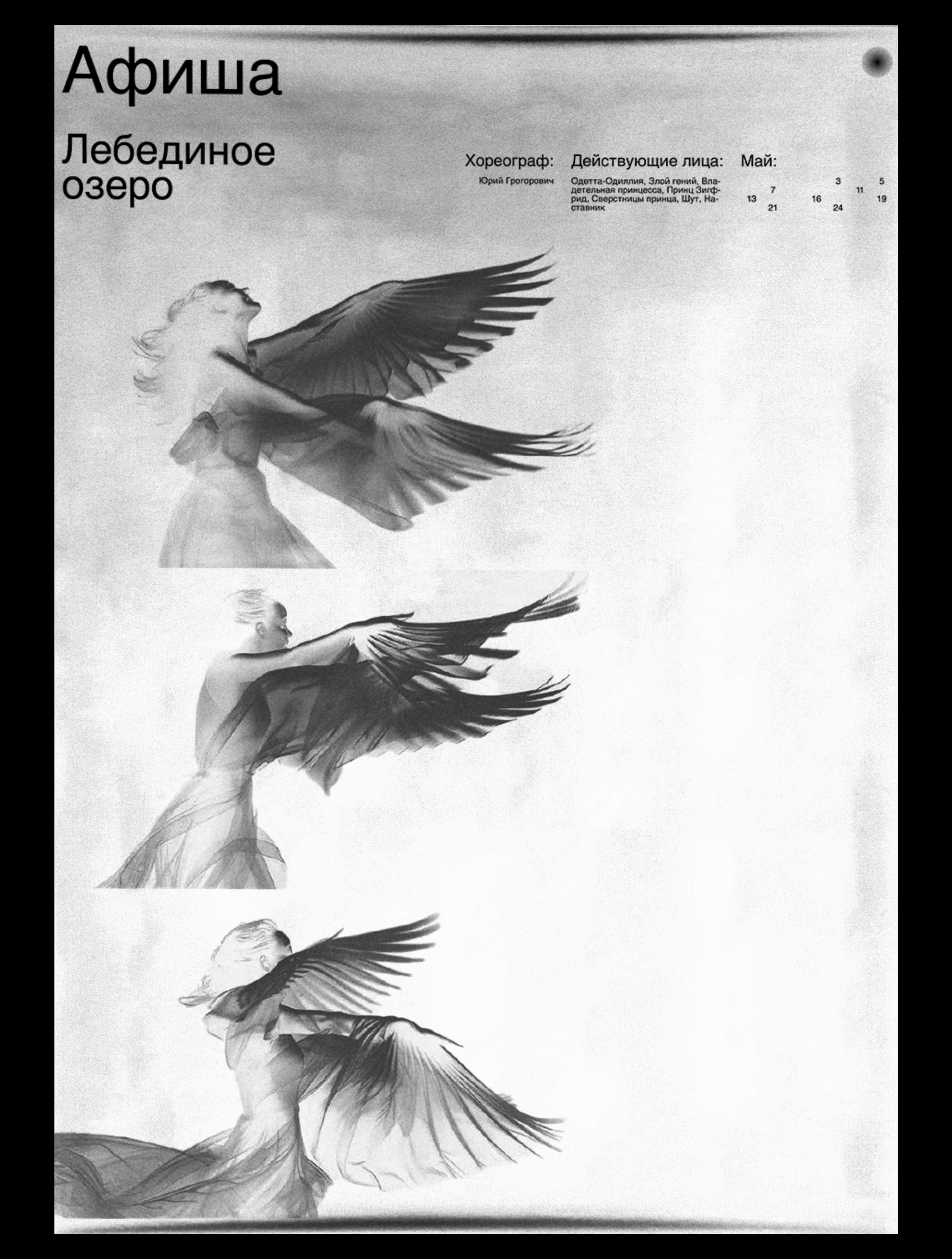 Ballet Identity — Изображение №15 — Брендинг на Dprofile